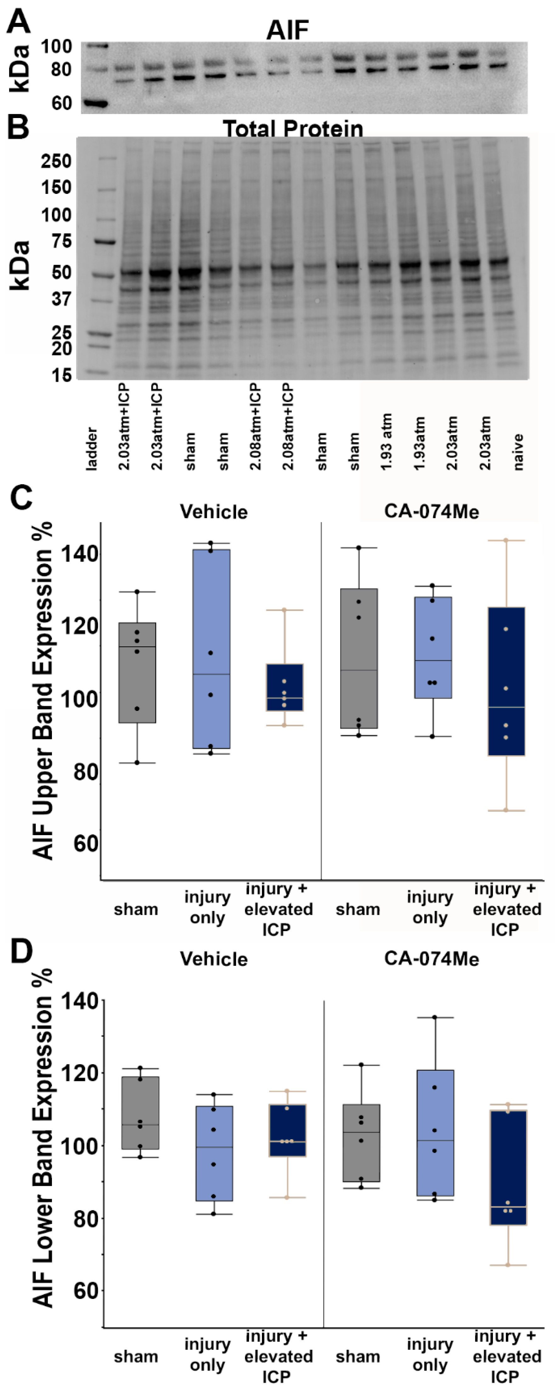 Preprints 107422 g005