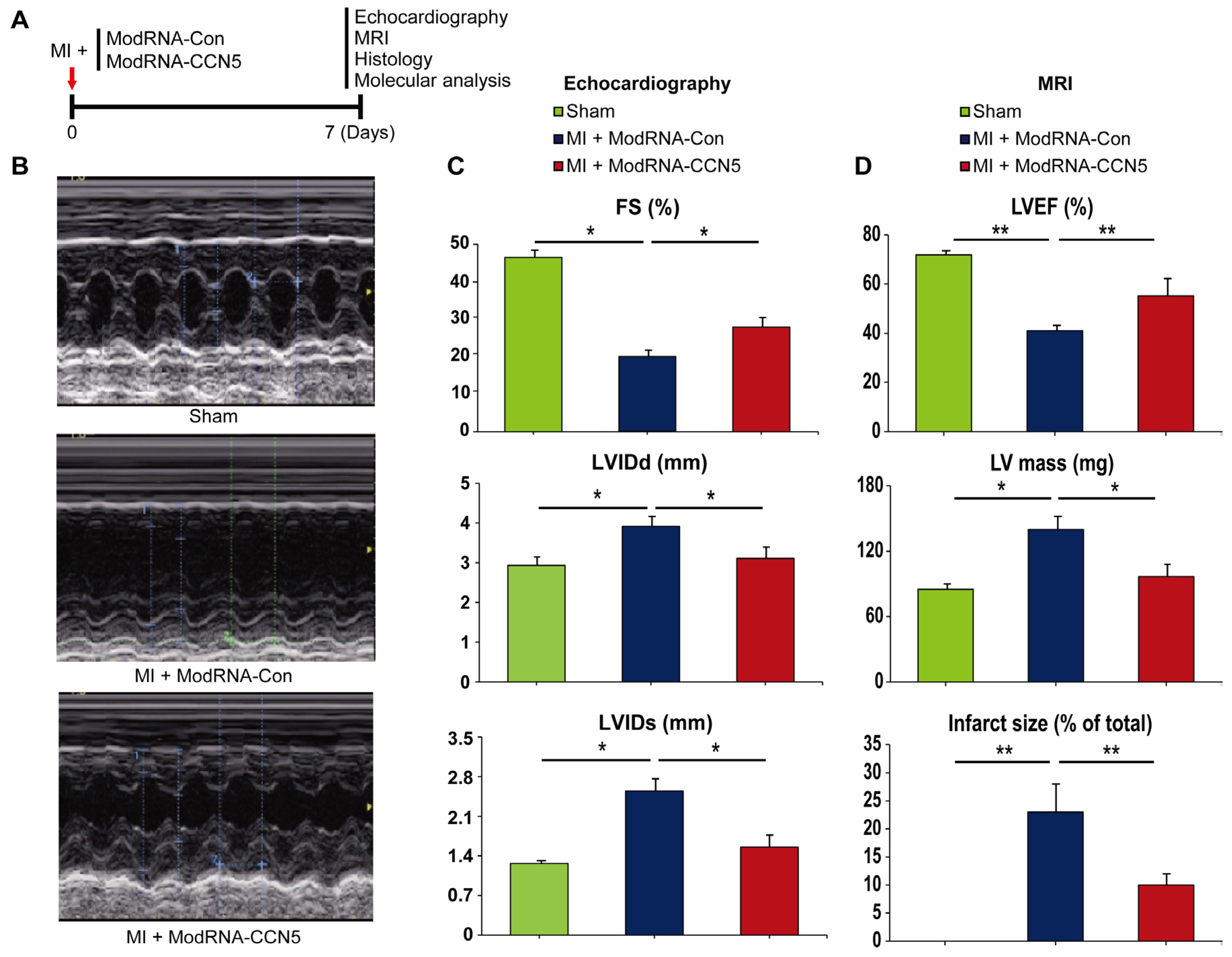 Preprints 105097 g001