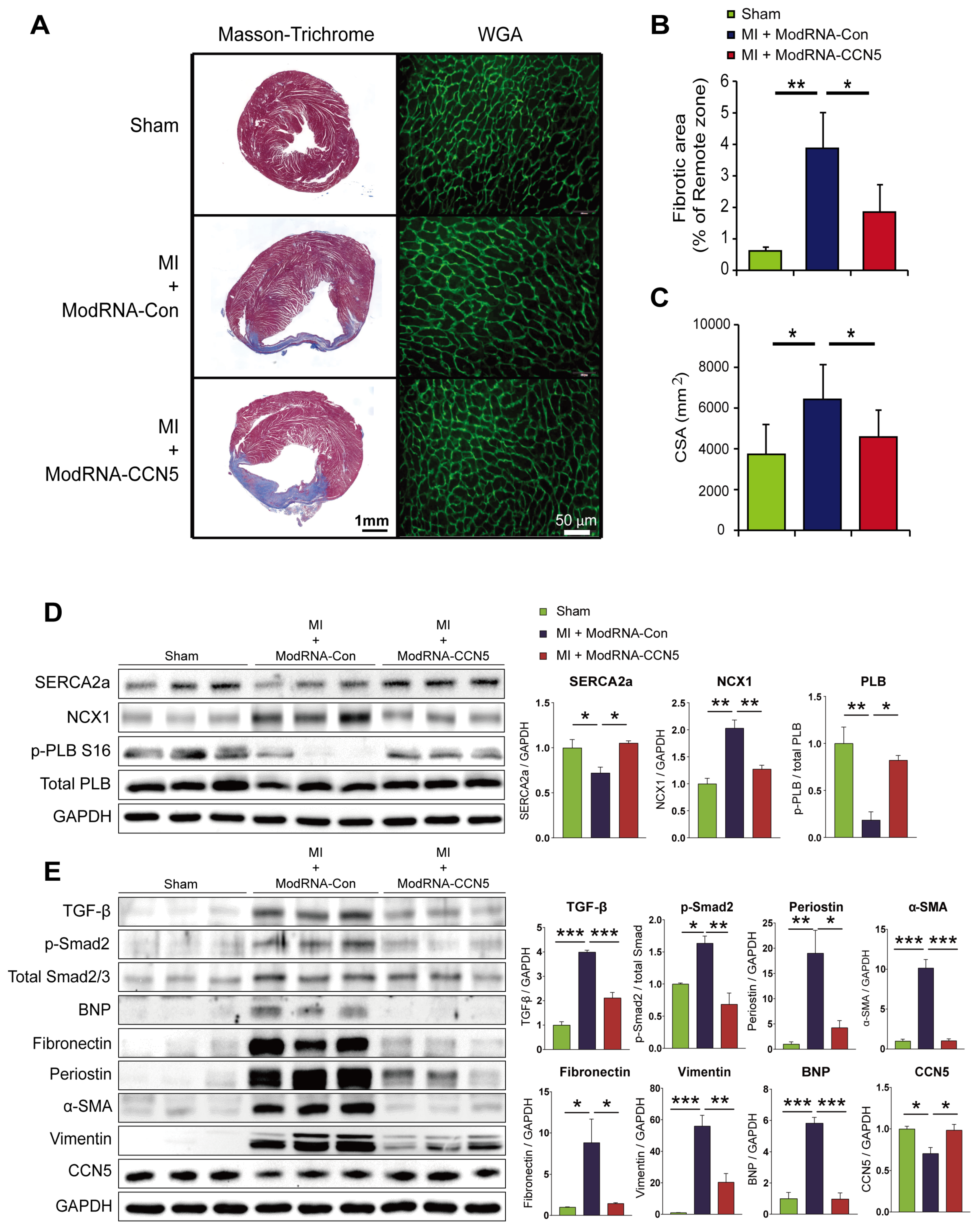 Preprints 105097 g002