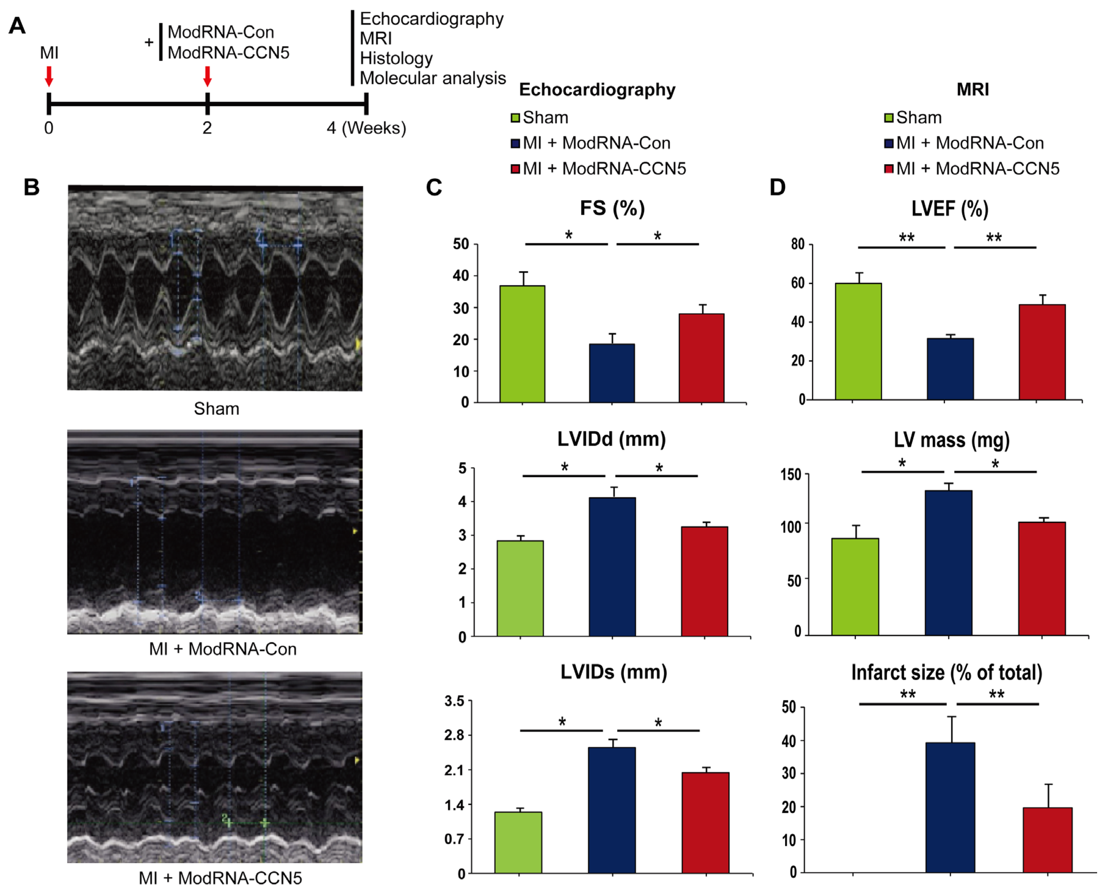 Preprints 105097 g003