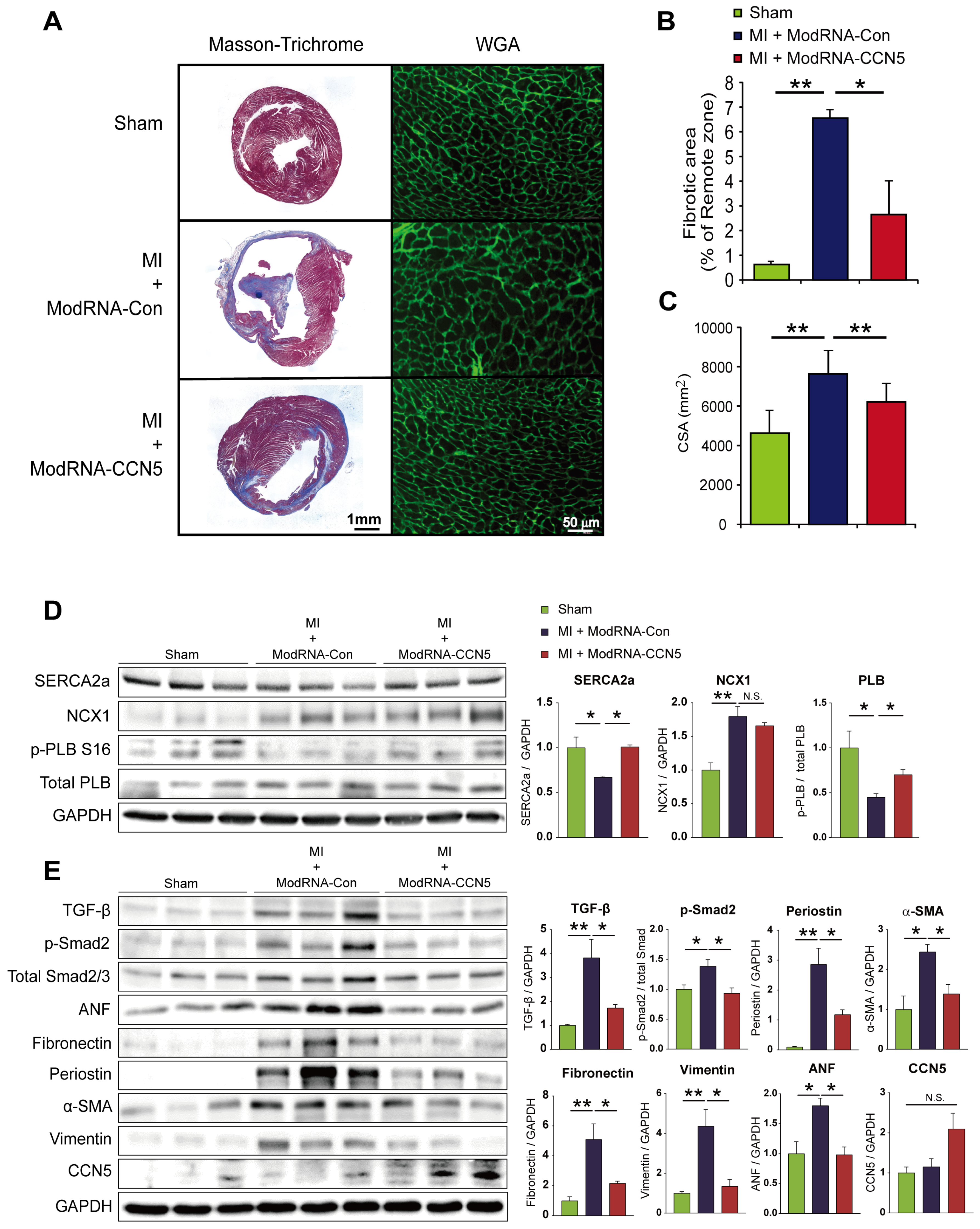 Preprints 105097 g004