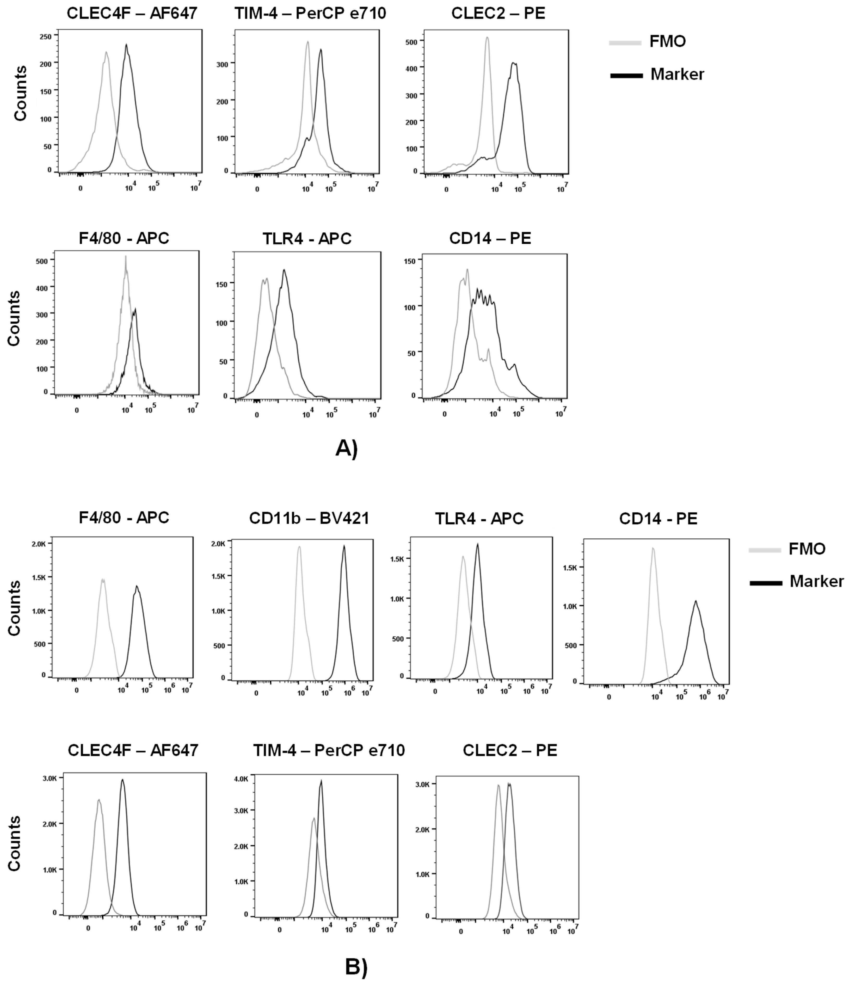 Preprints 83521 g001