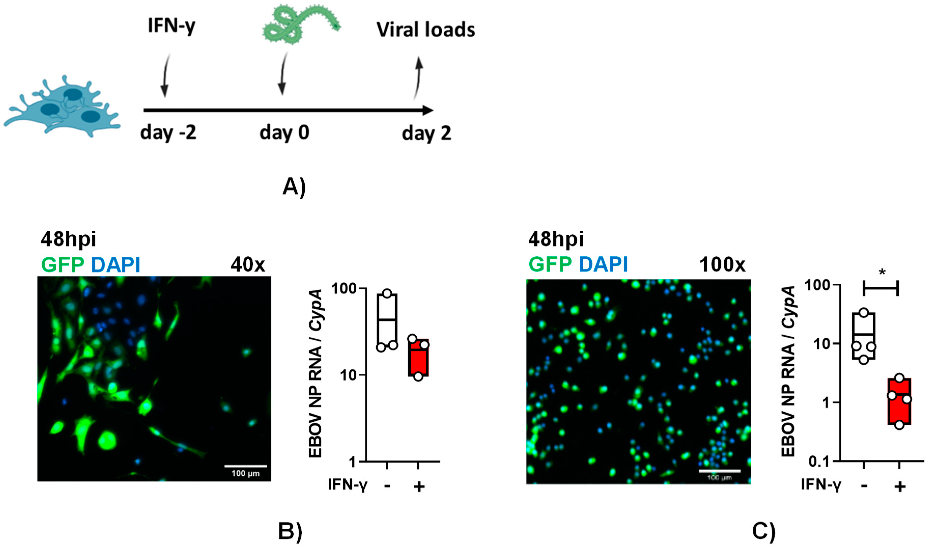 Preprints 83521 g003