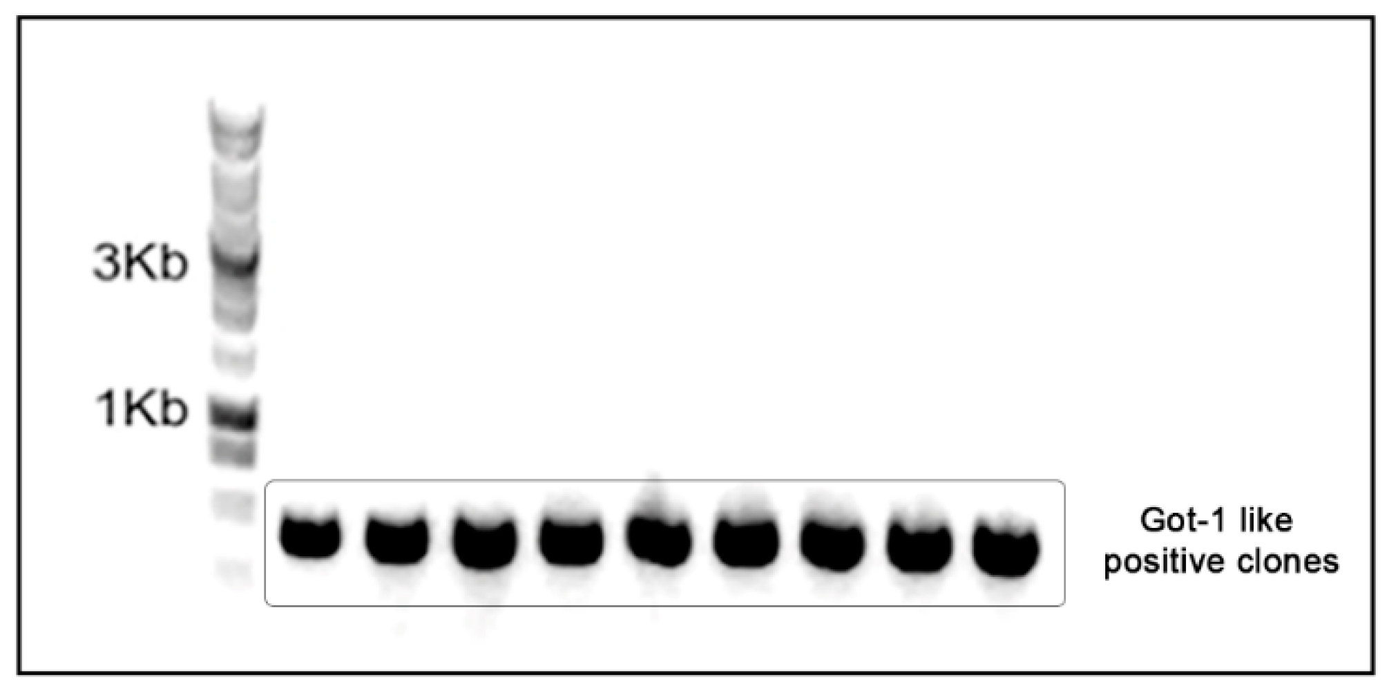 Preprints 66747 g001