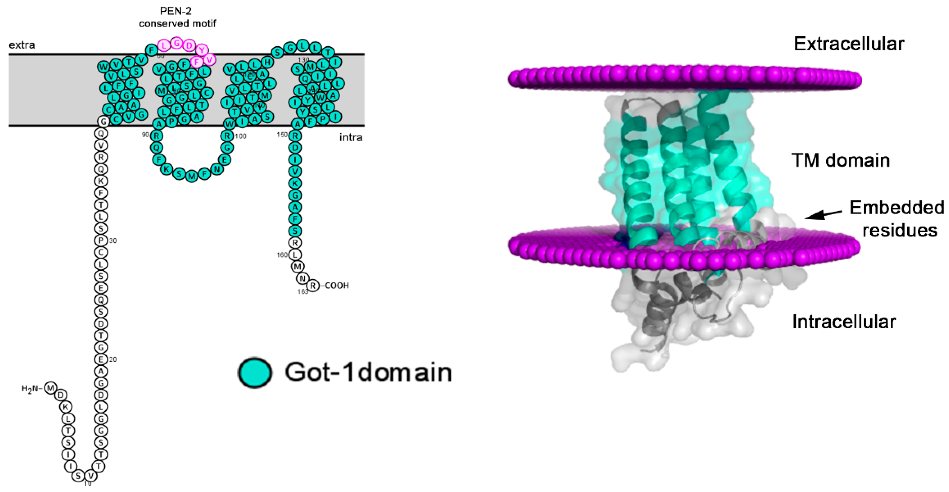 Preprints 66747 g004