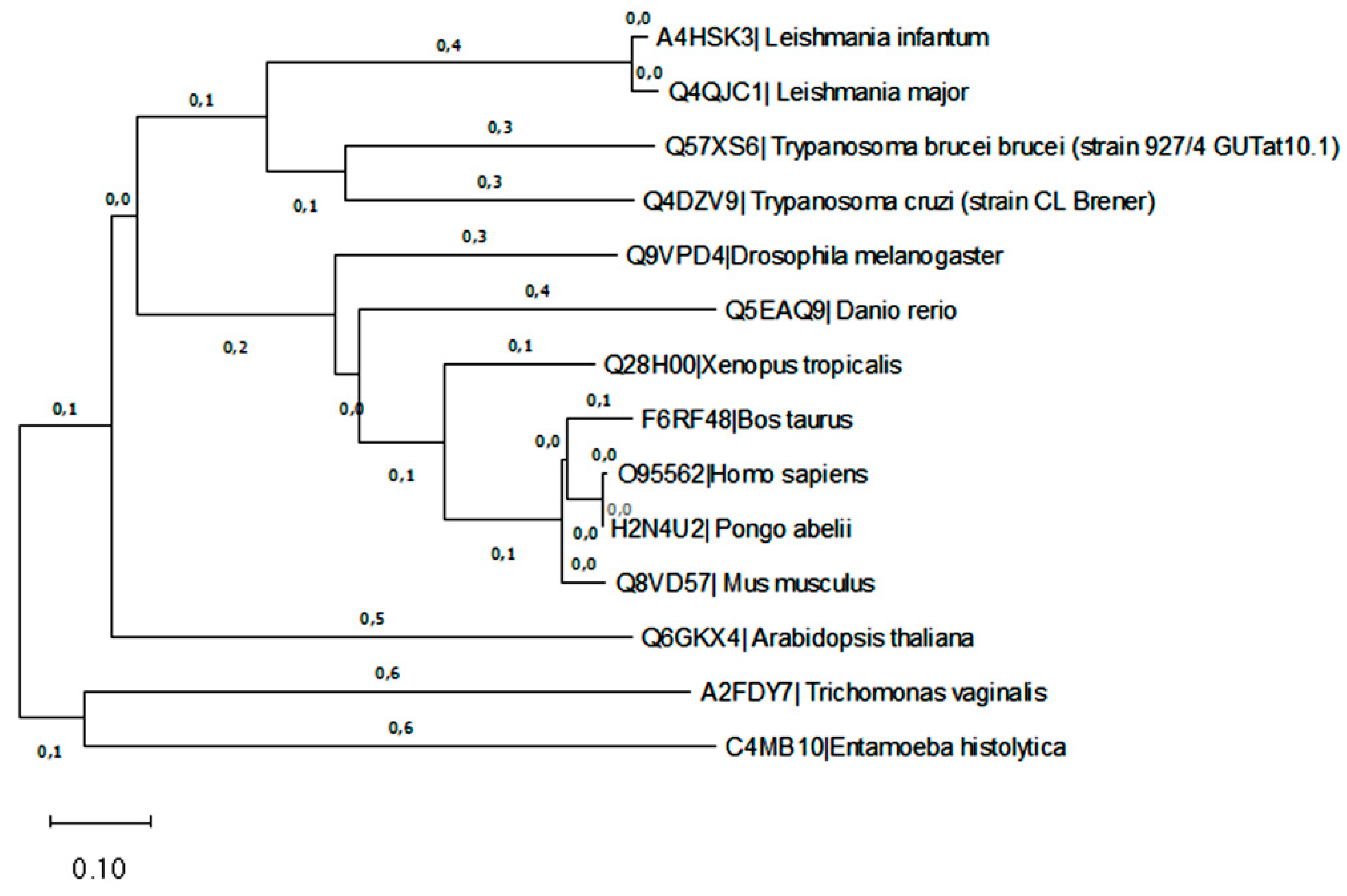 Preprints 66747 g005