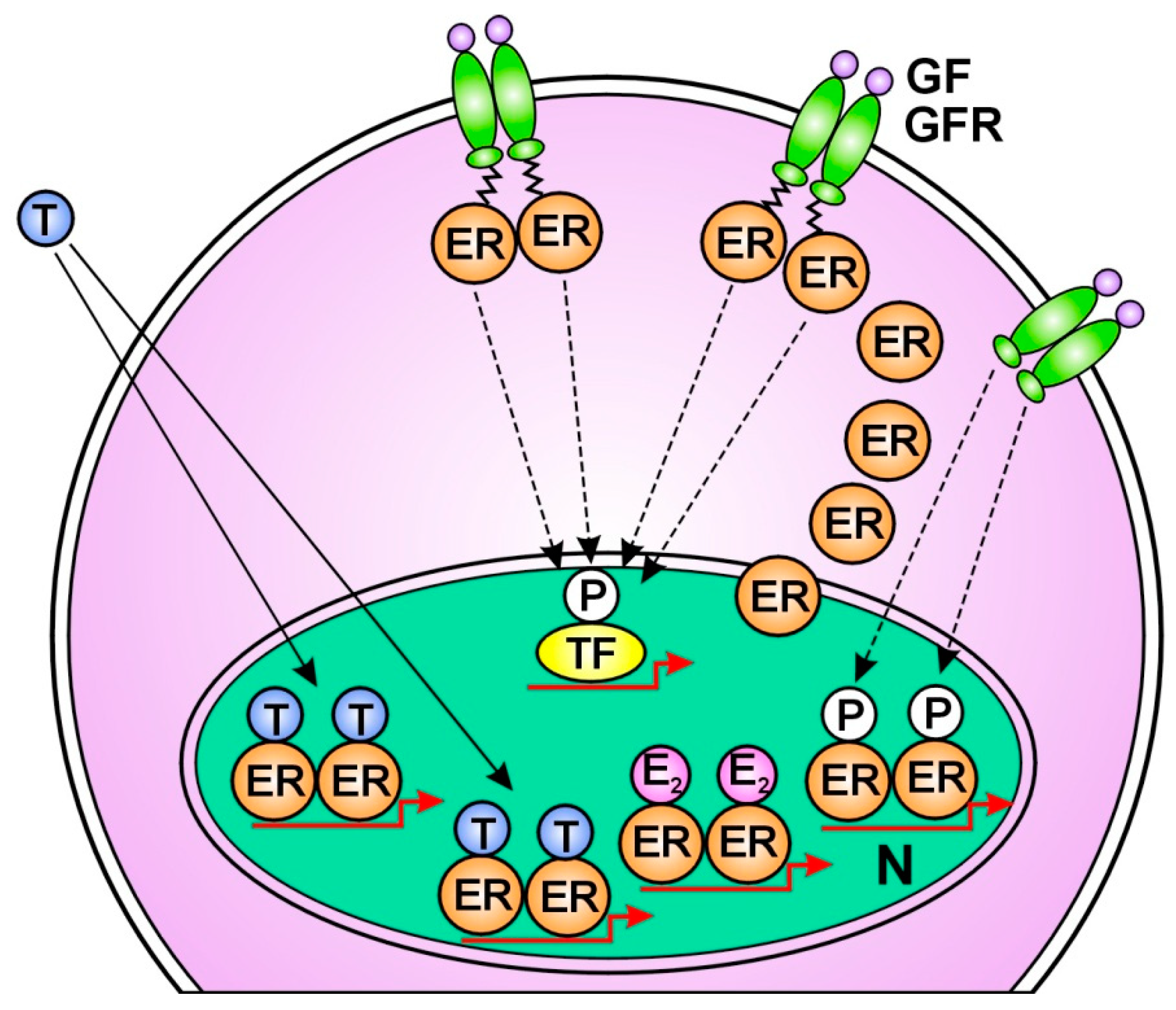 Preprints 100810 g001