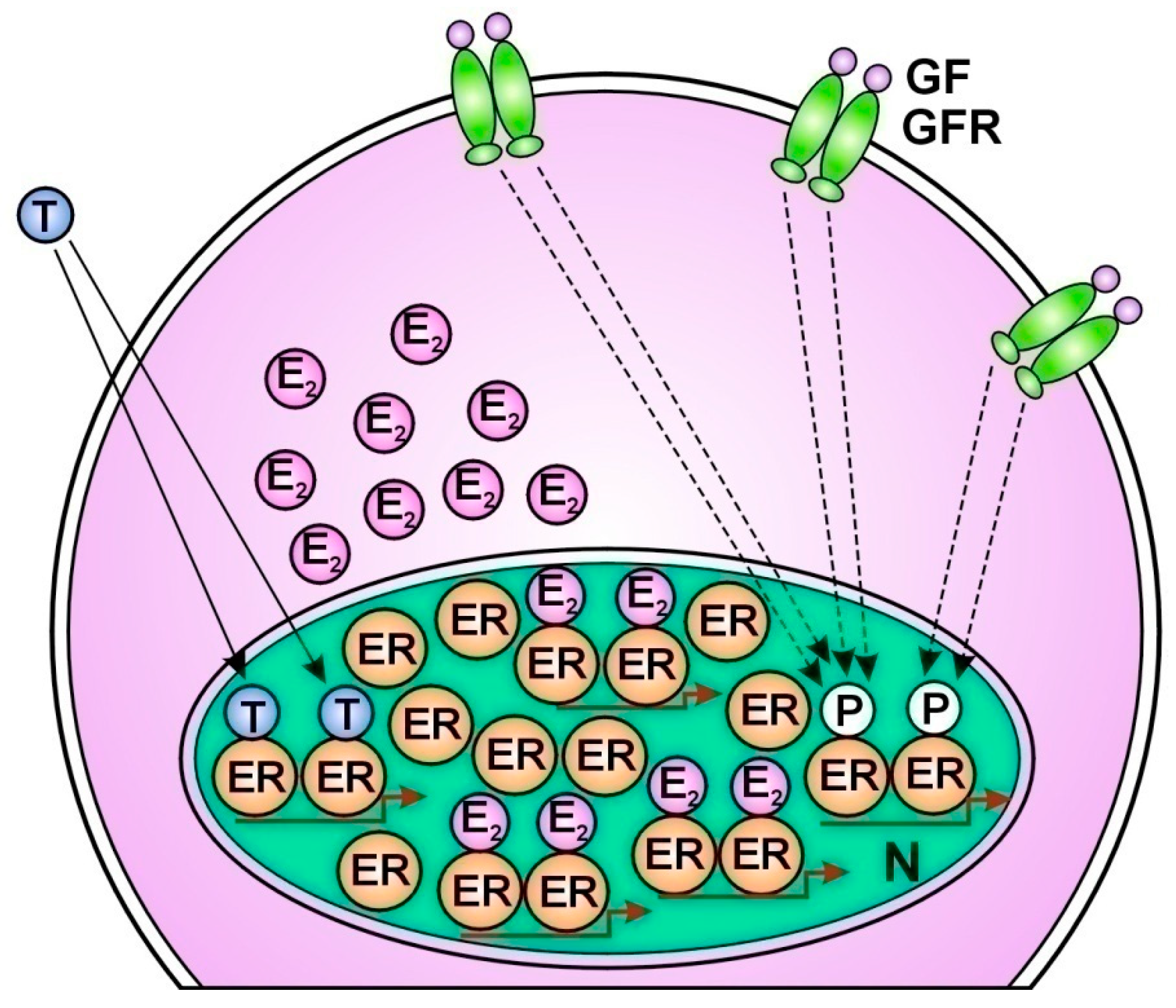 Preprints 100810 g002