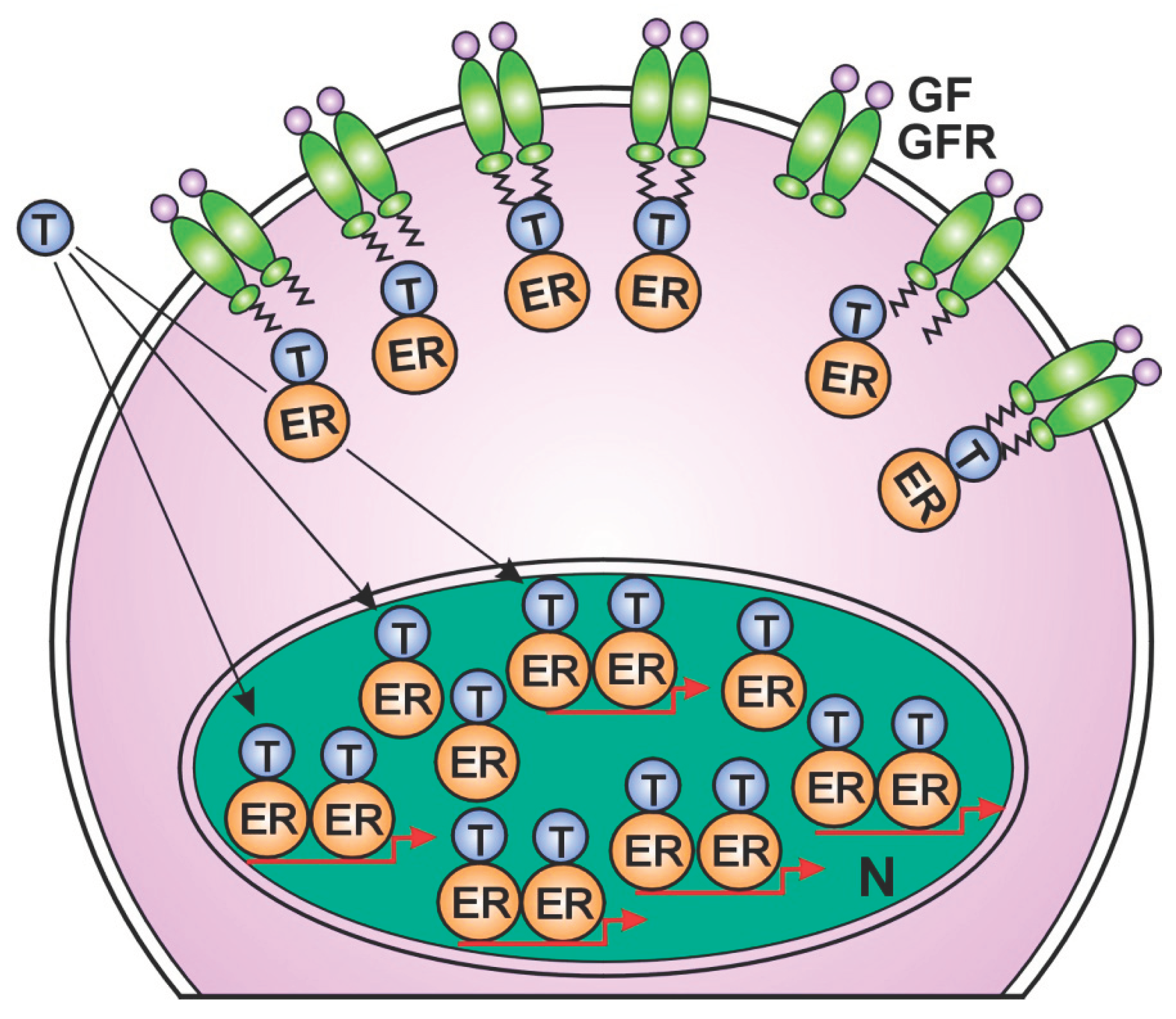 Preprints 100810 g003