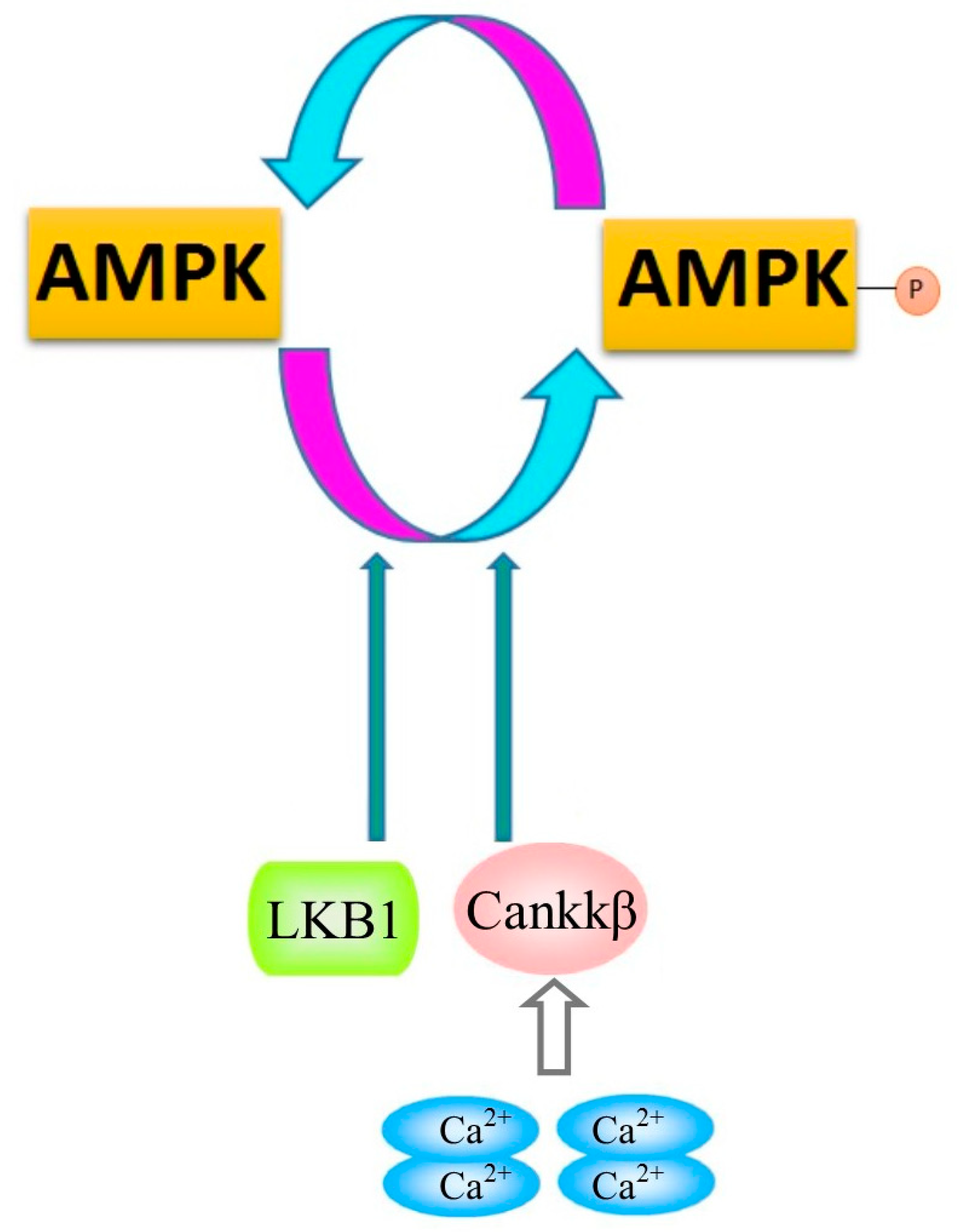 Preprints 67973 g001