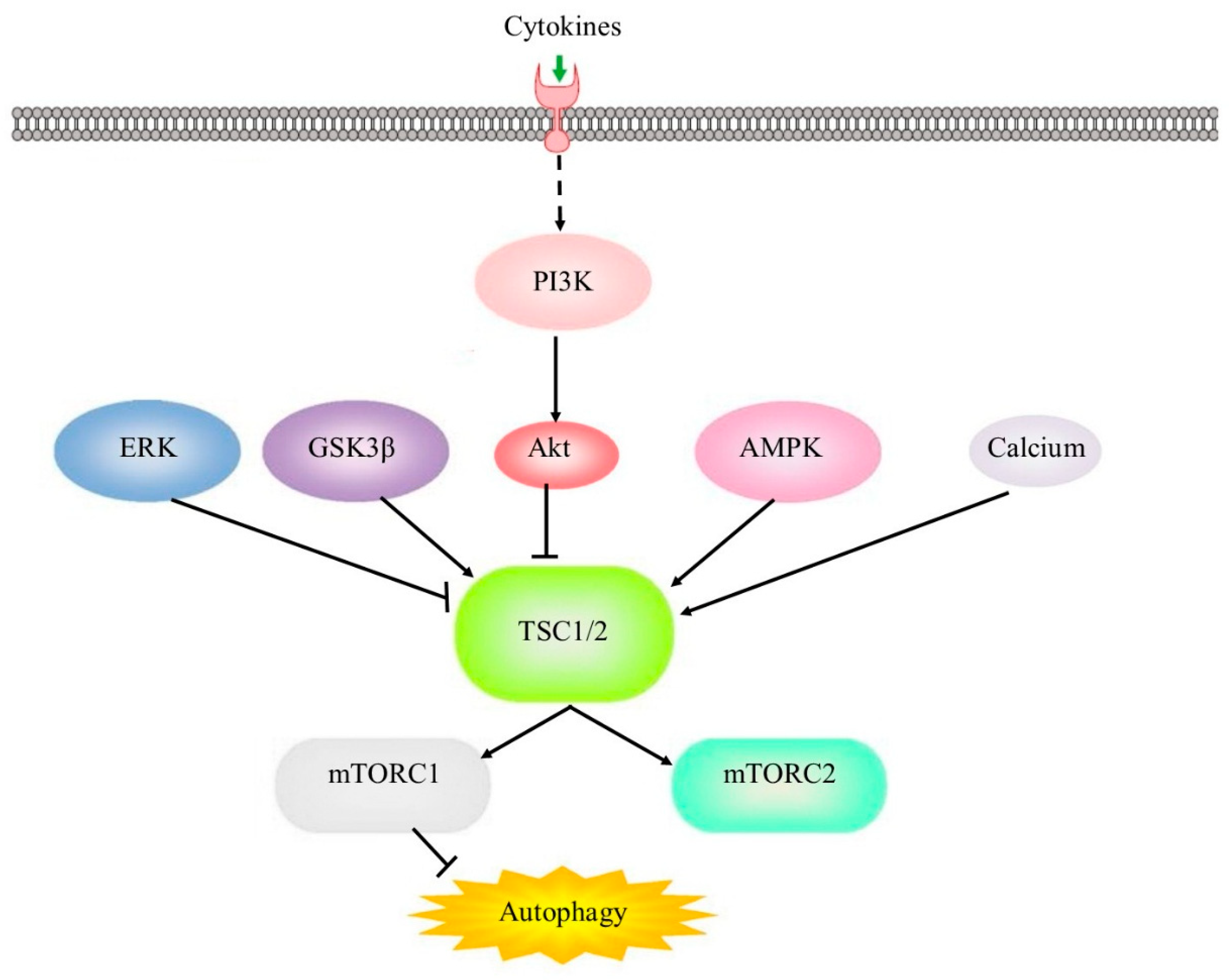 Preprints 67973 g004