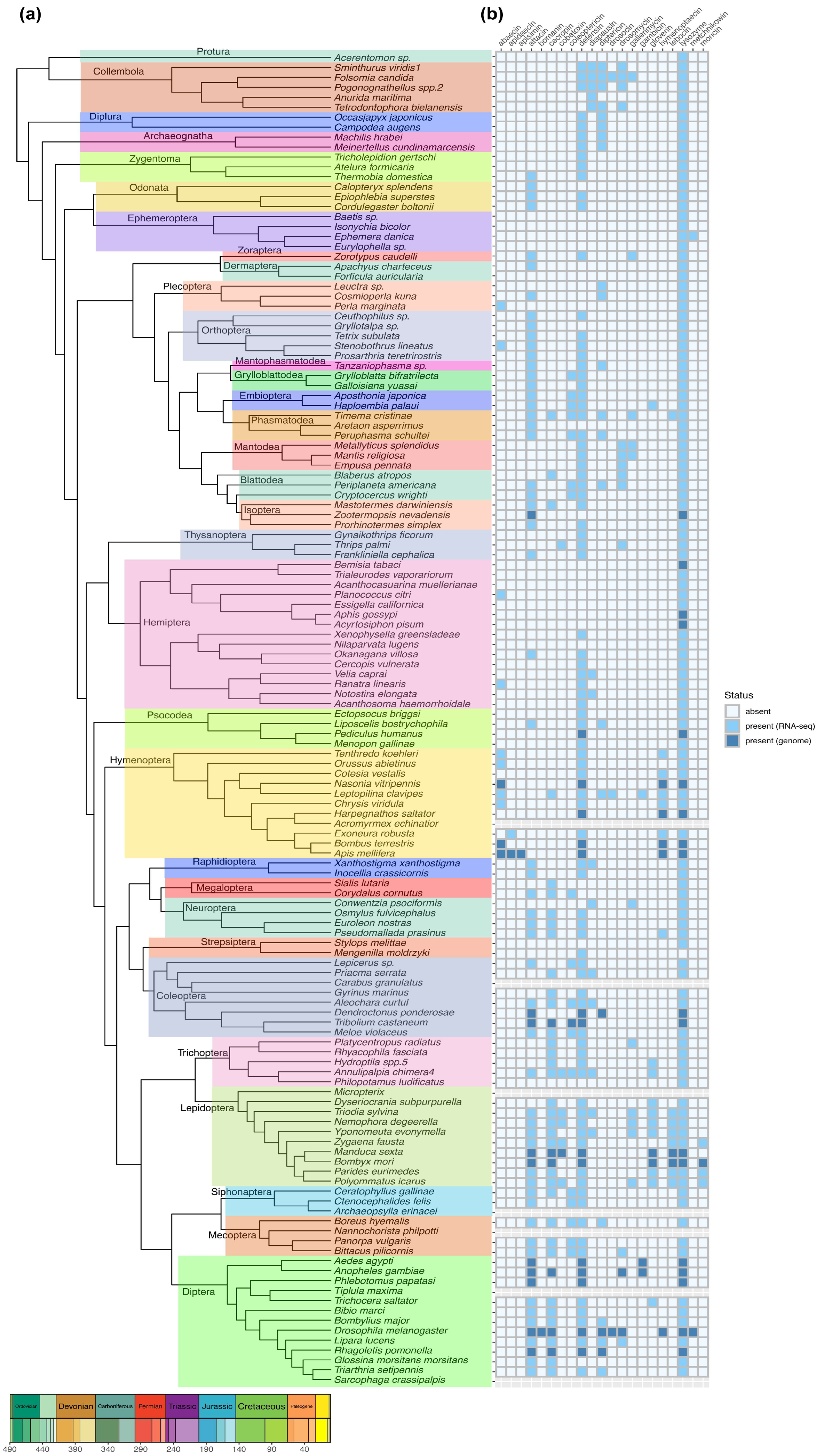 Preprints 100454 g002