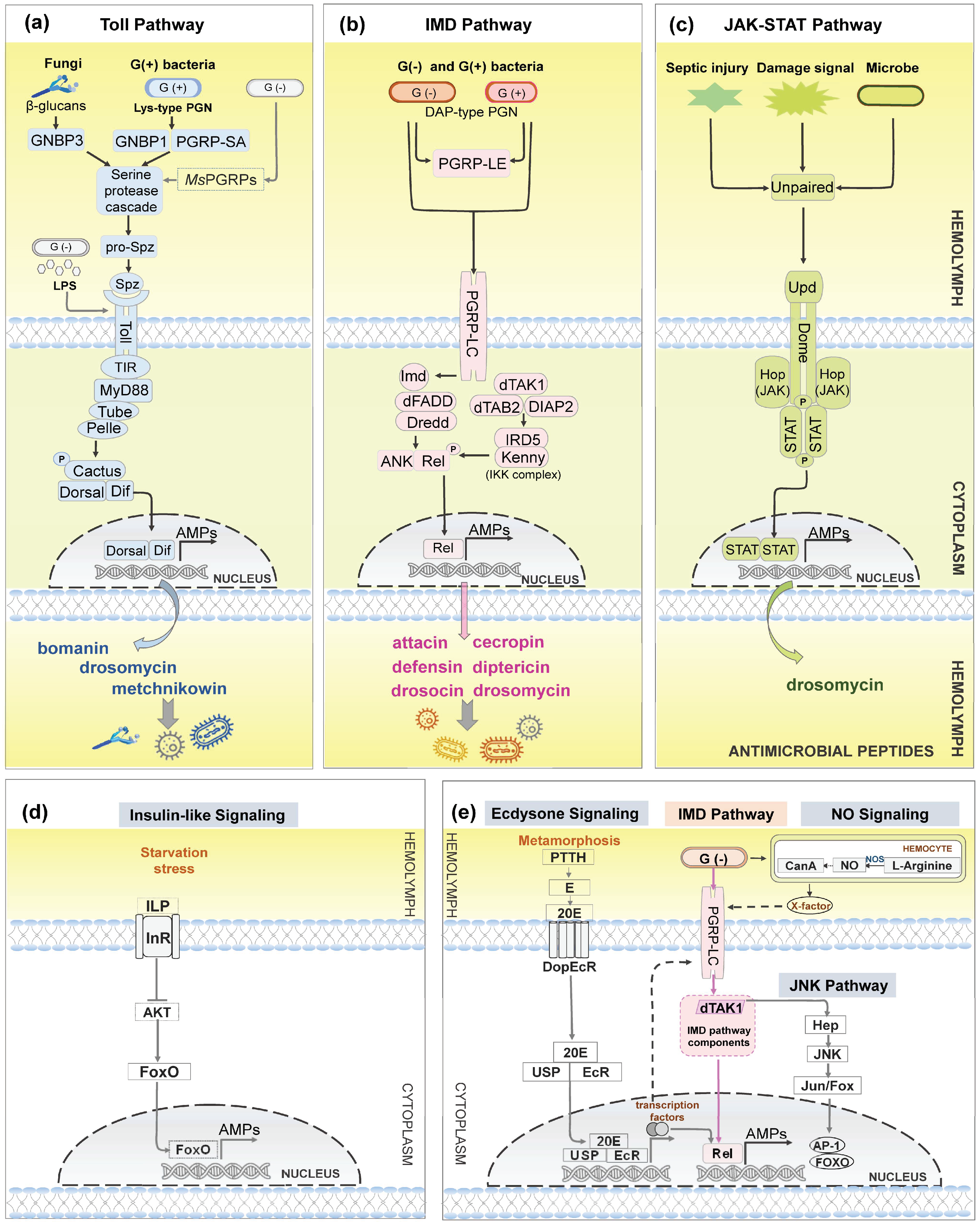 Preprints 100454 g004