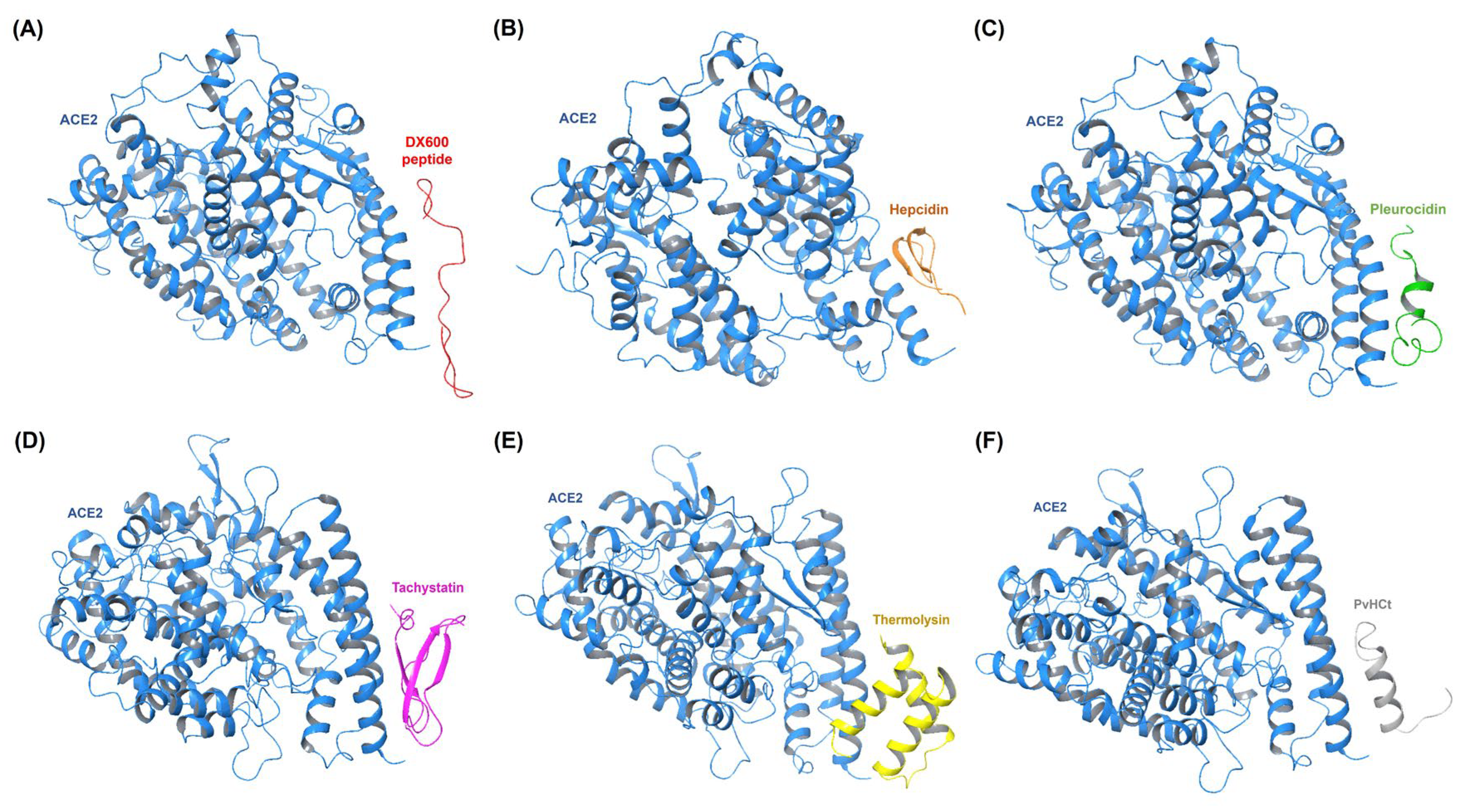 Preprints 117622 g001