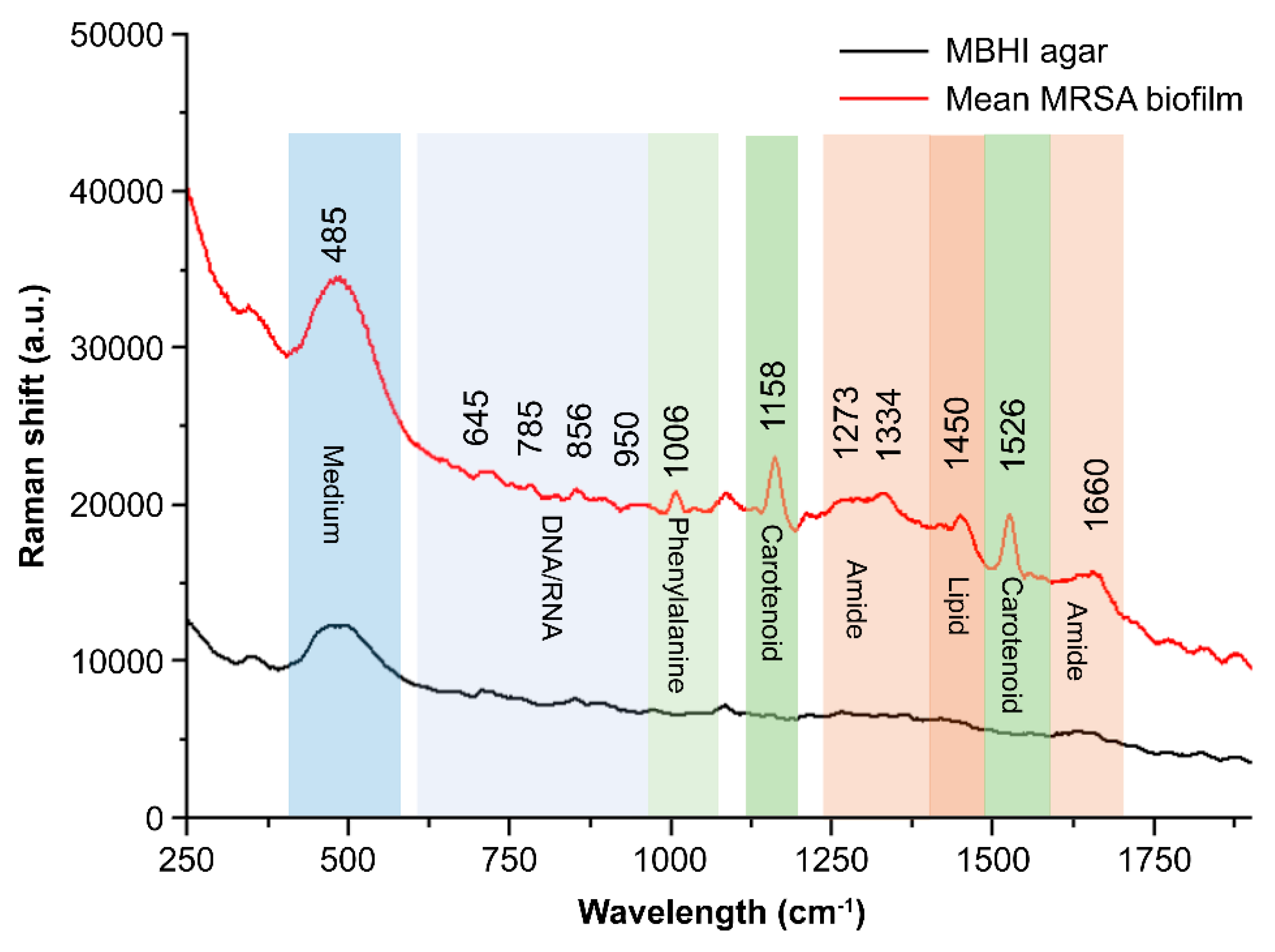 Preprints 77378 g001