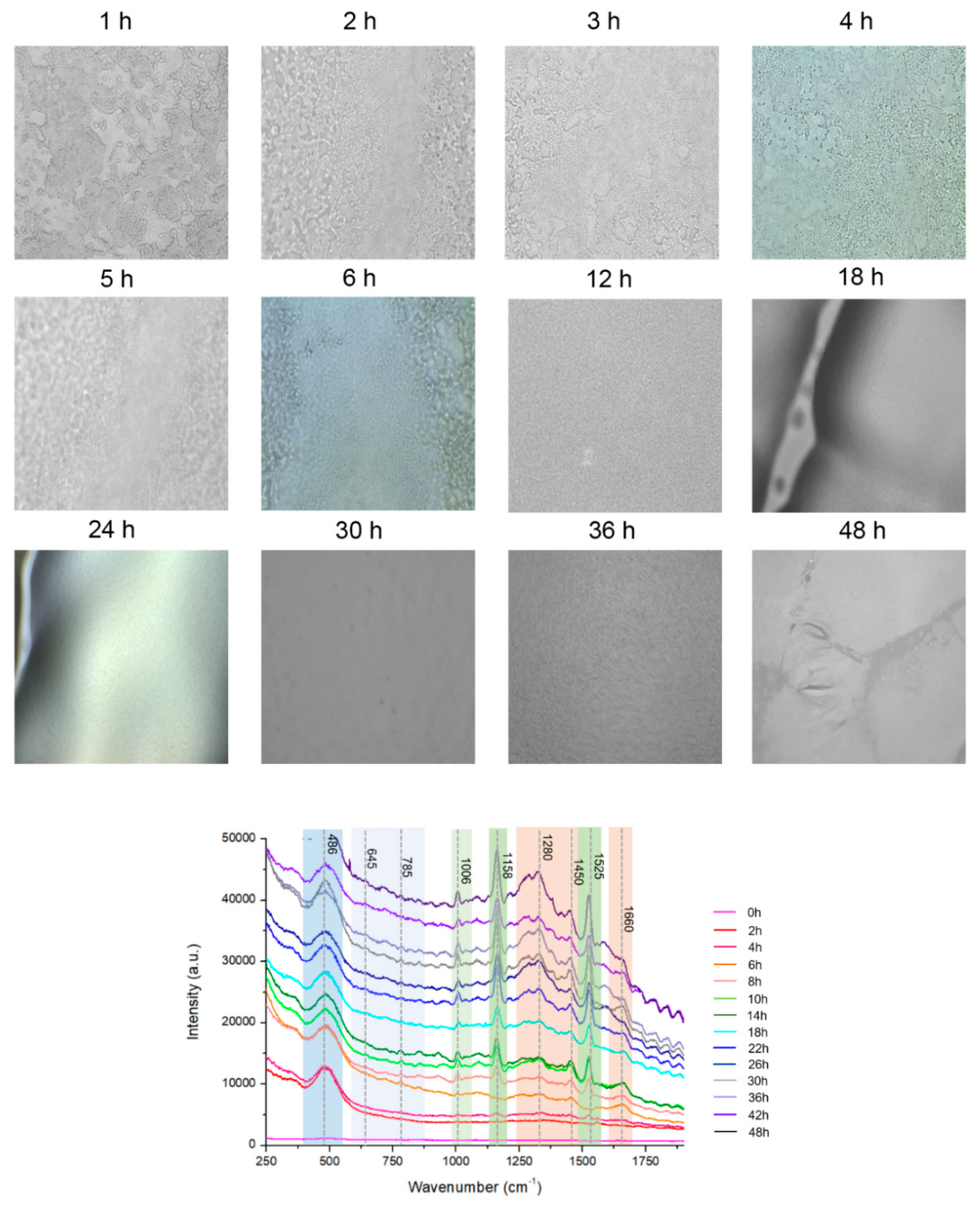 Preprints 77378 g002