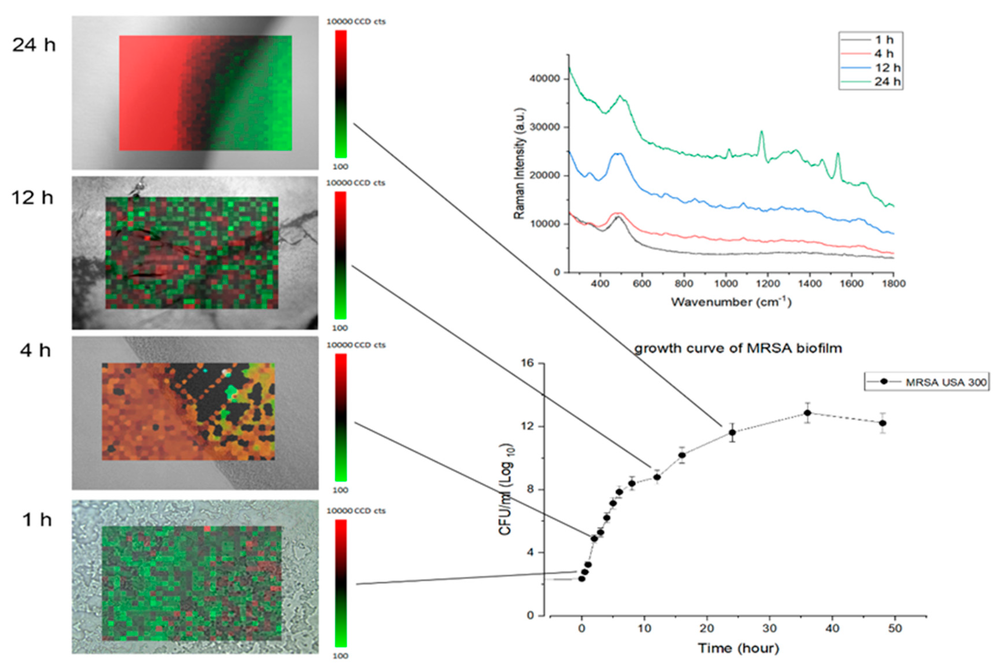 Preprints 77378 g004