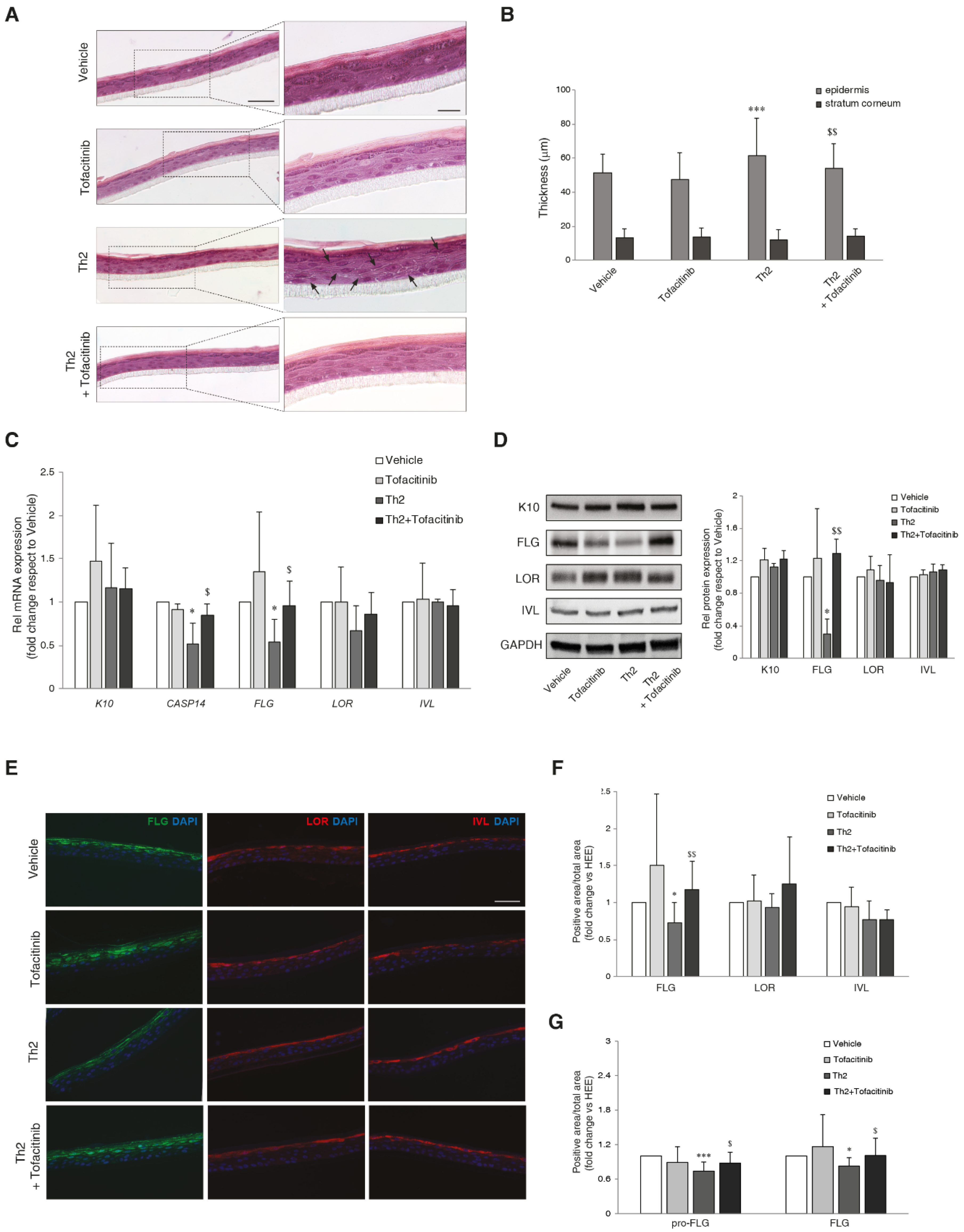 Preprints 102537 g001