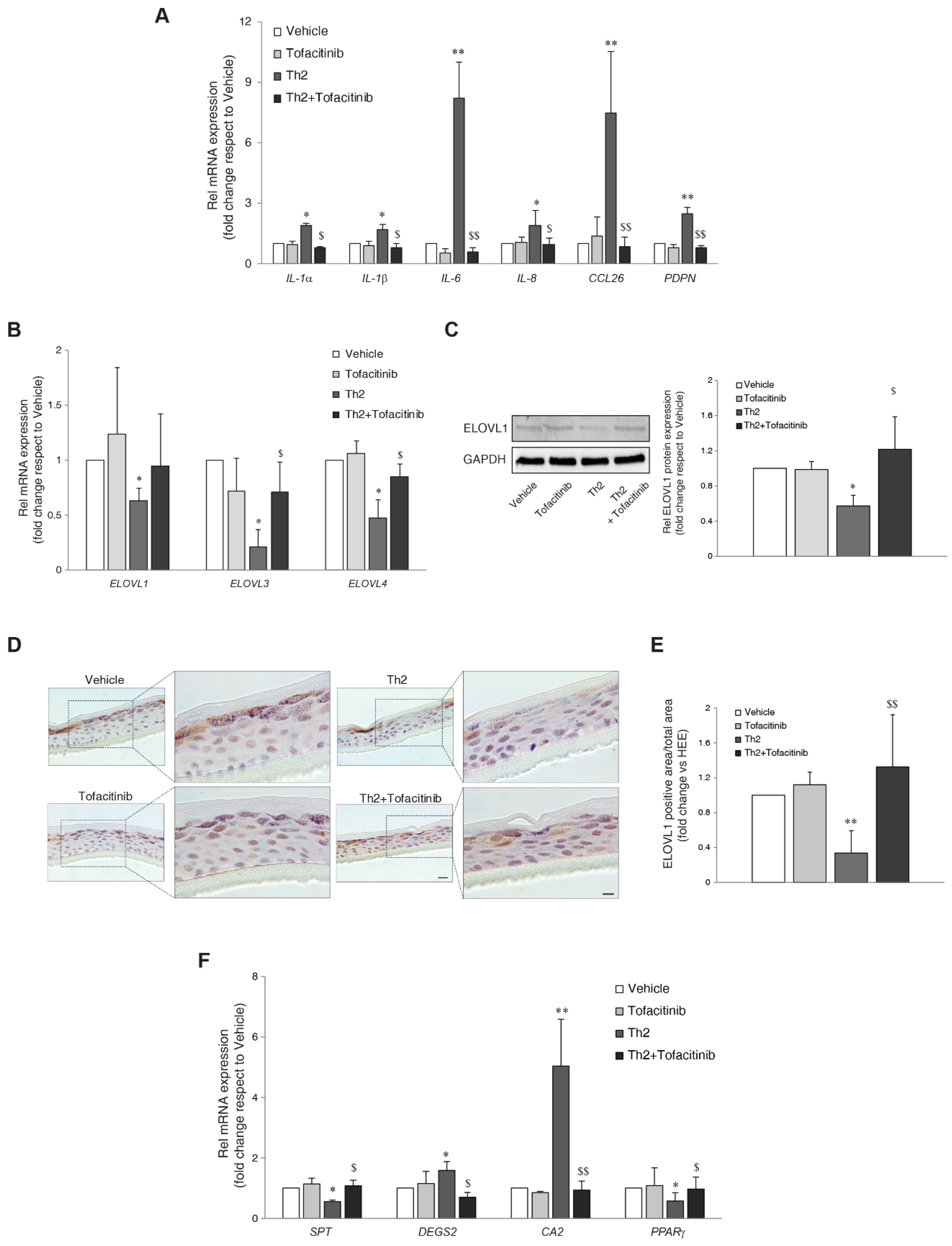 Preprints 102537 g002