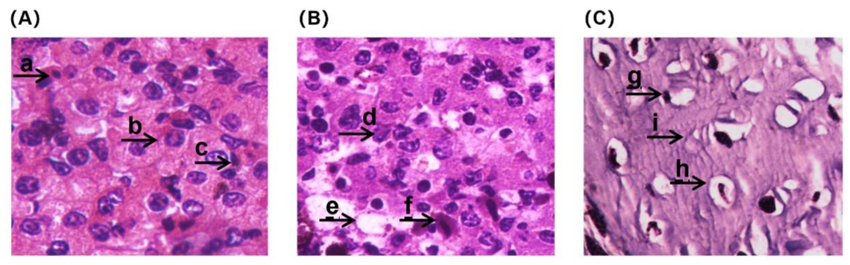 Preprints 87090 g004