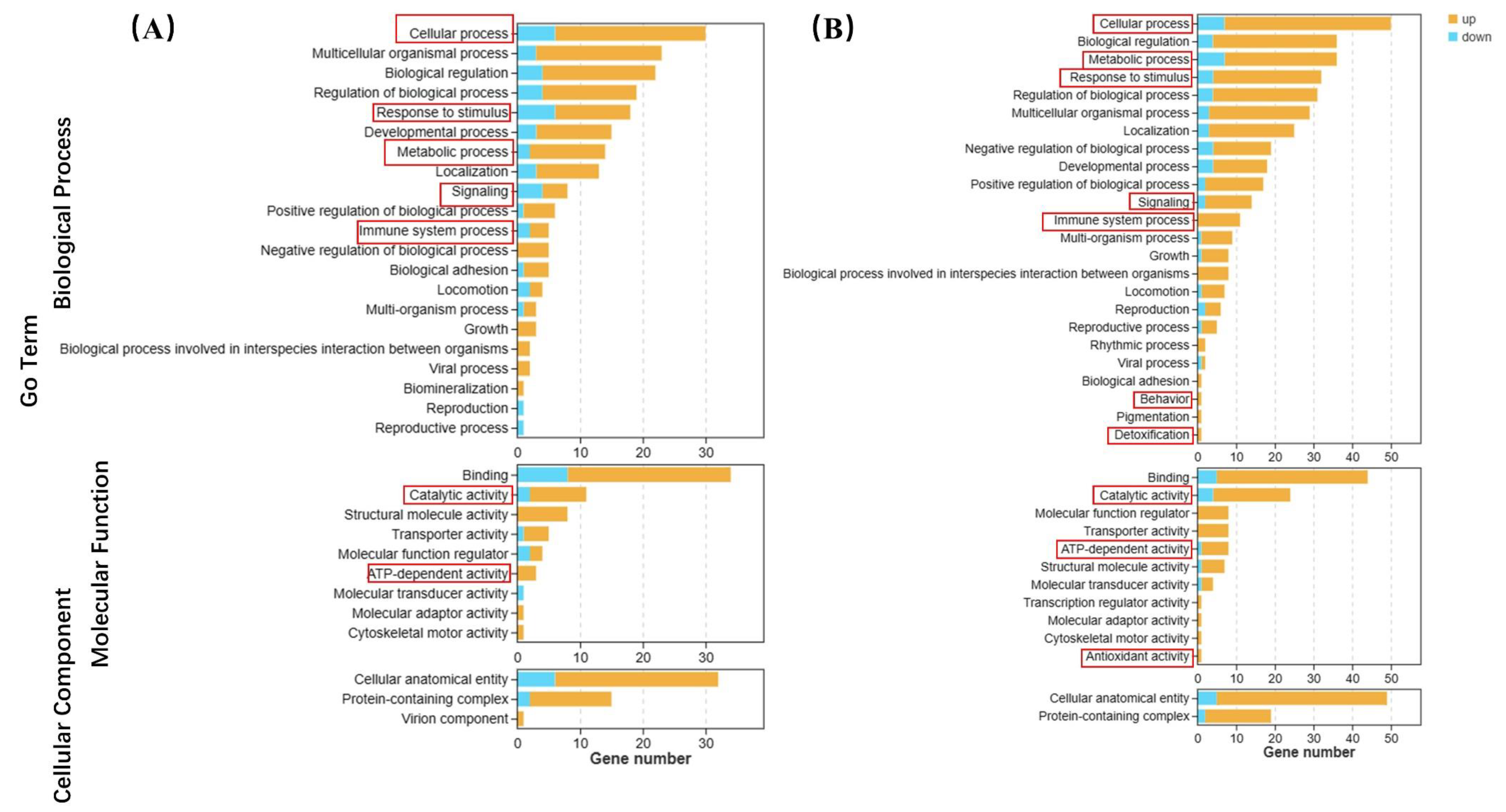 Preprints 87090 g006