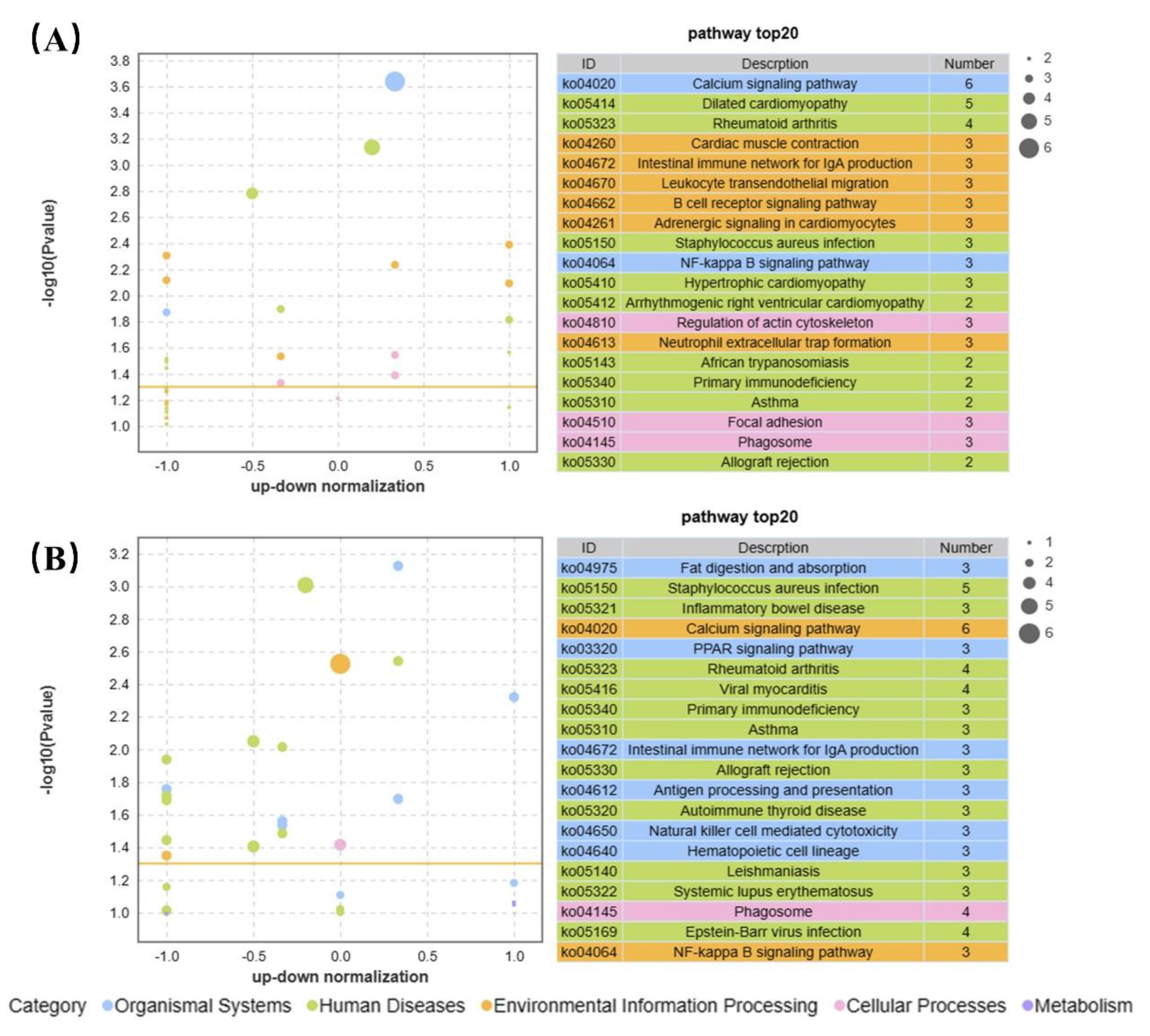 Preprints 87090 g007