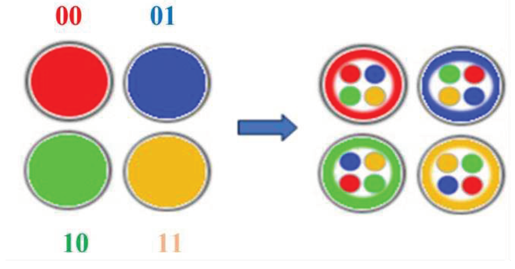 Preprints 98544 g024