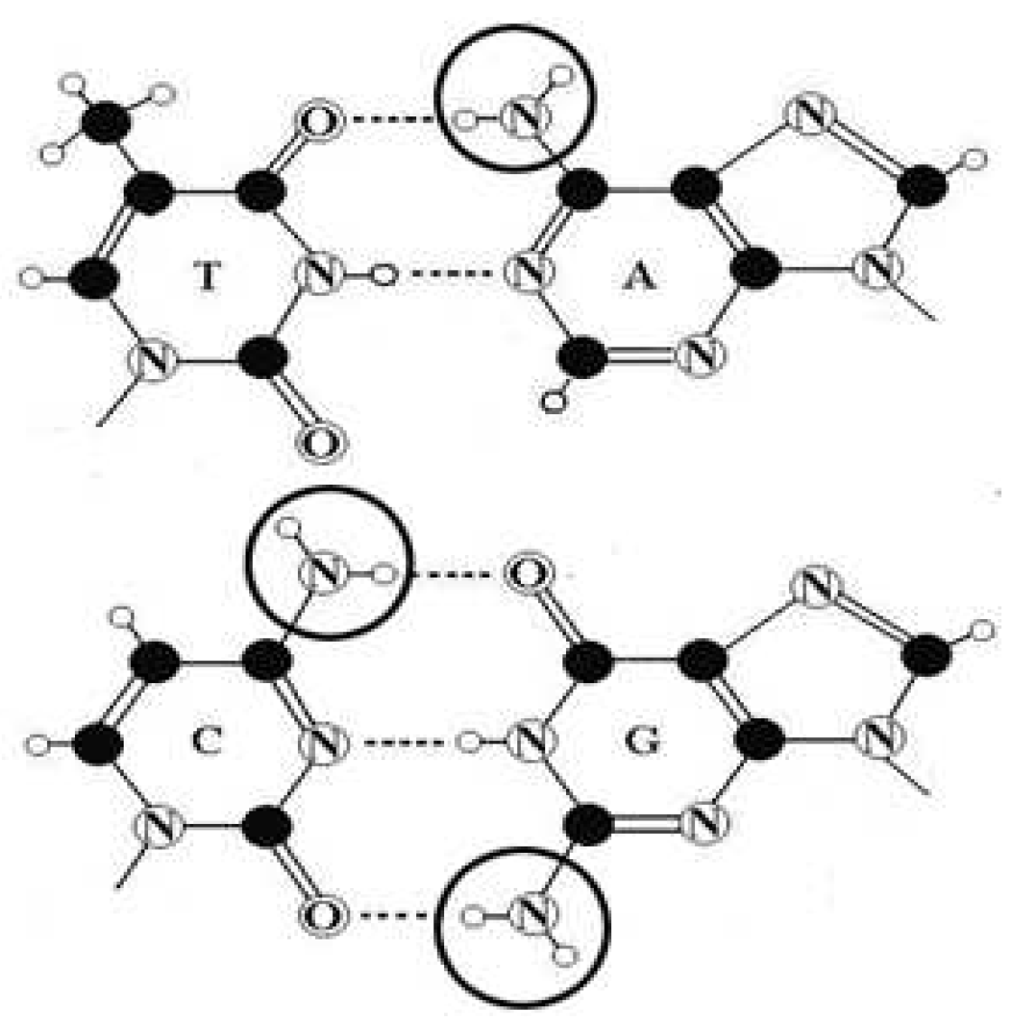 Preprints 98544 g025