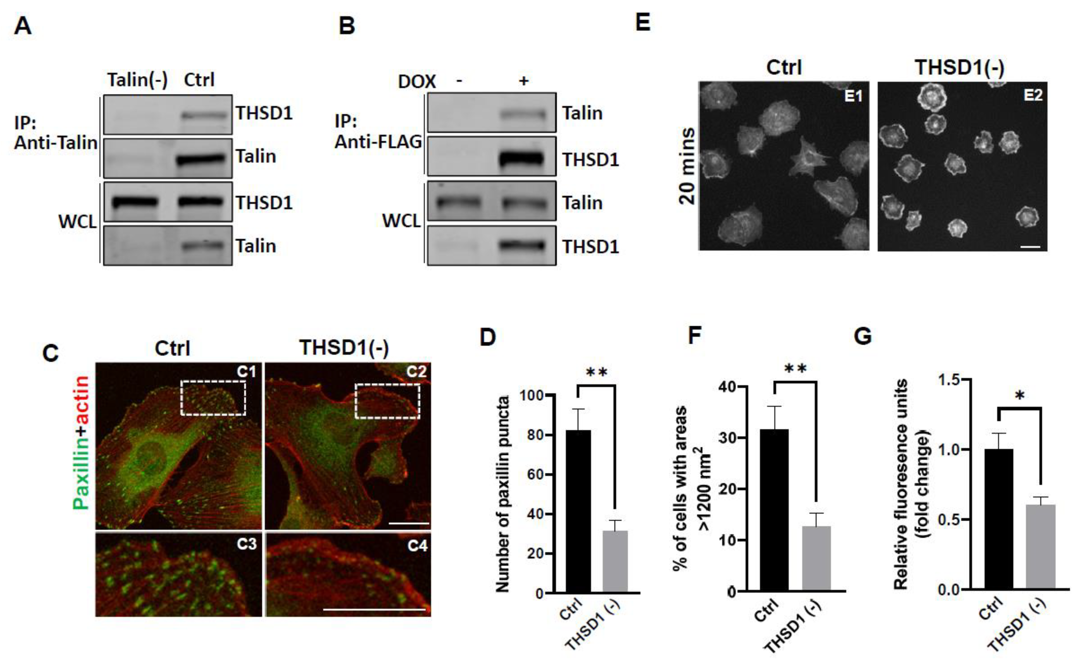 Preprints 92787 g001