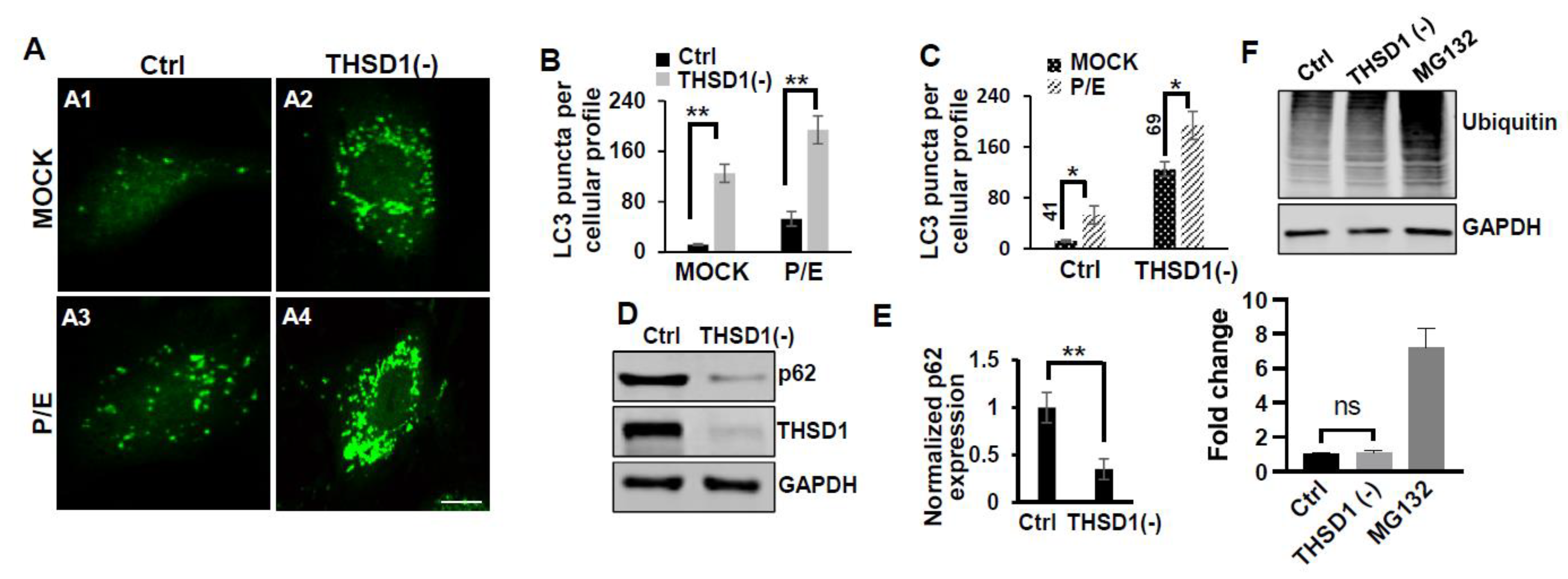 Preprints 92787 g002