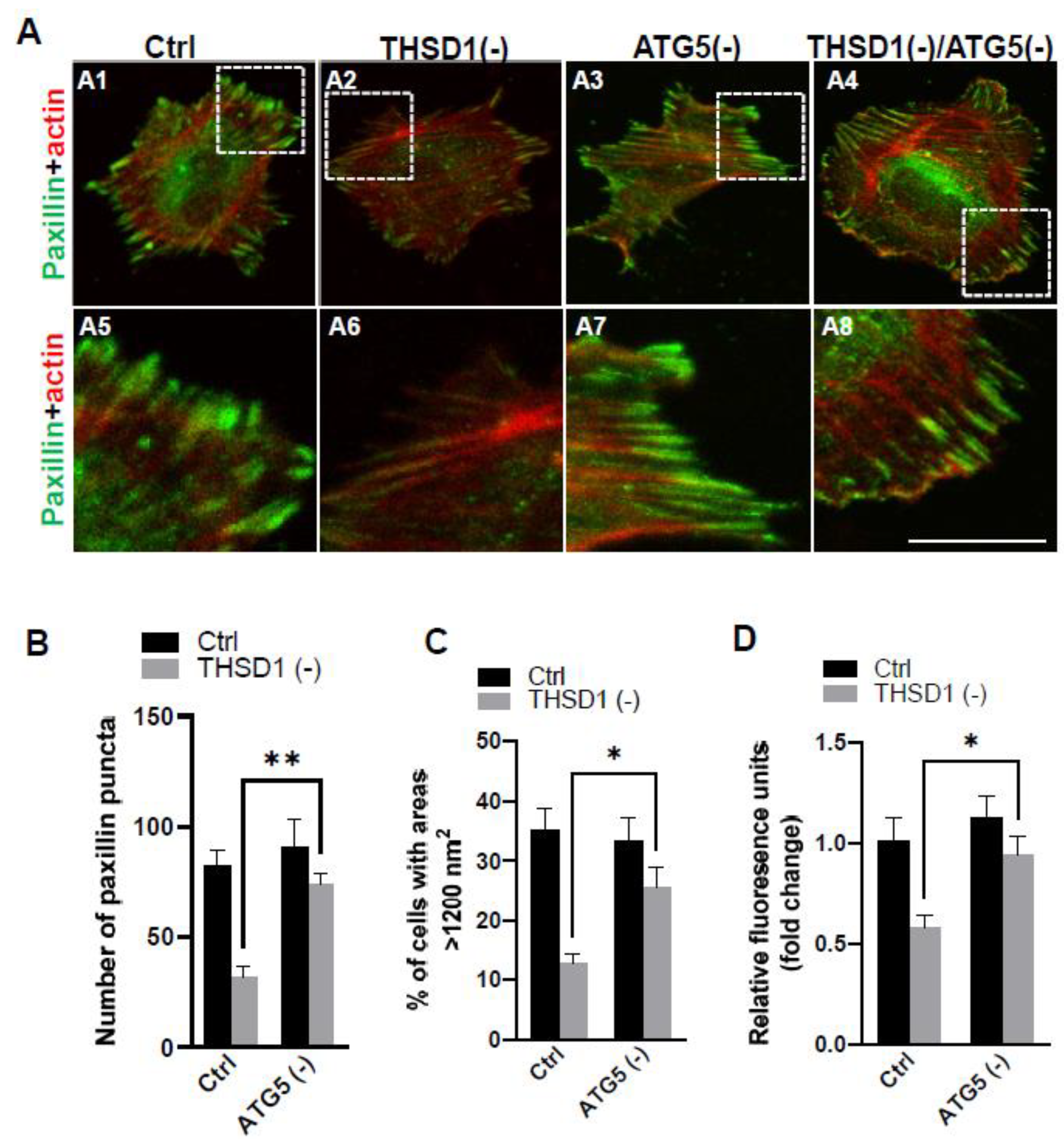 Preprints 92787 g003