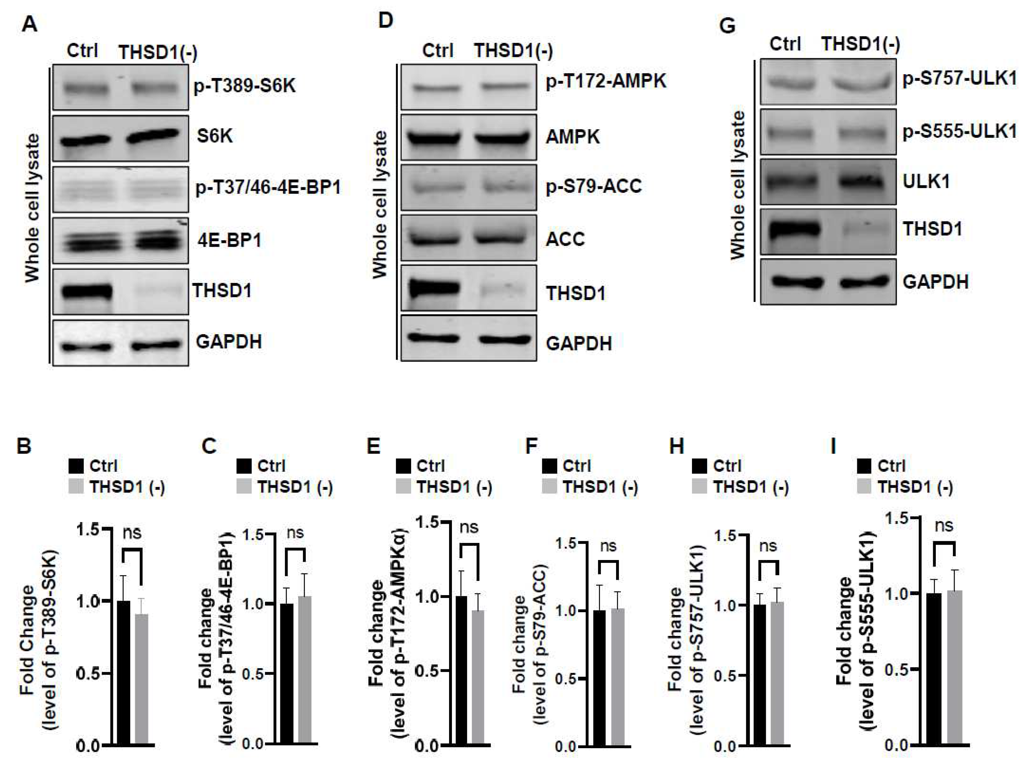 Preprints 92787 g004