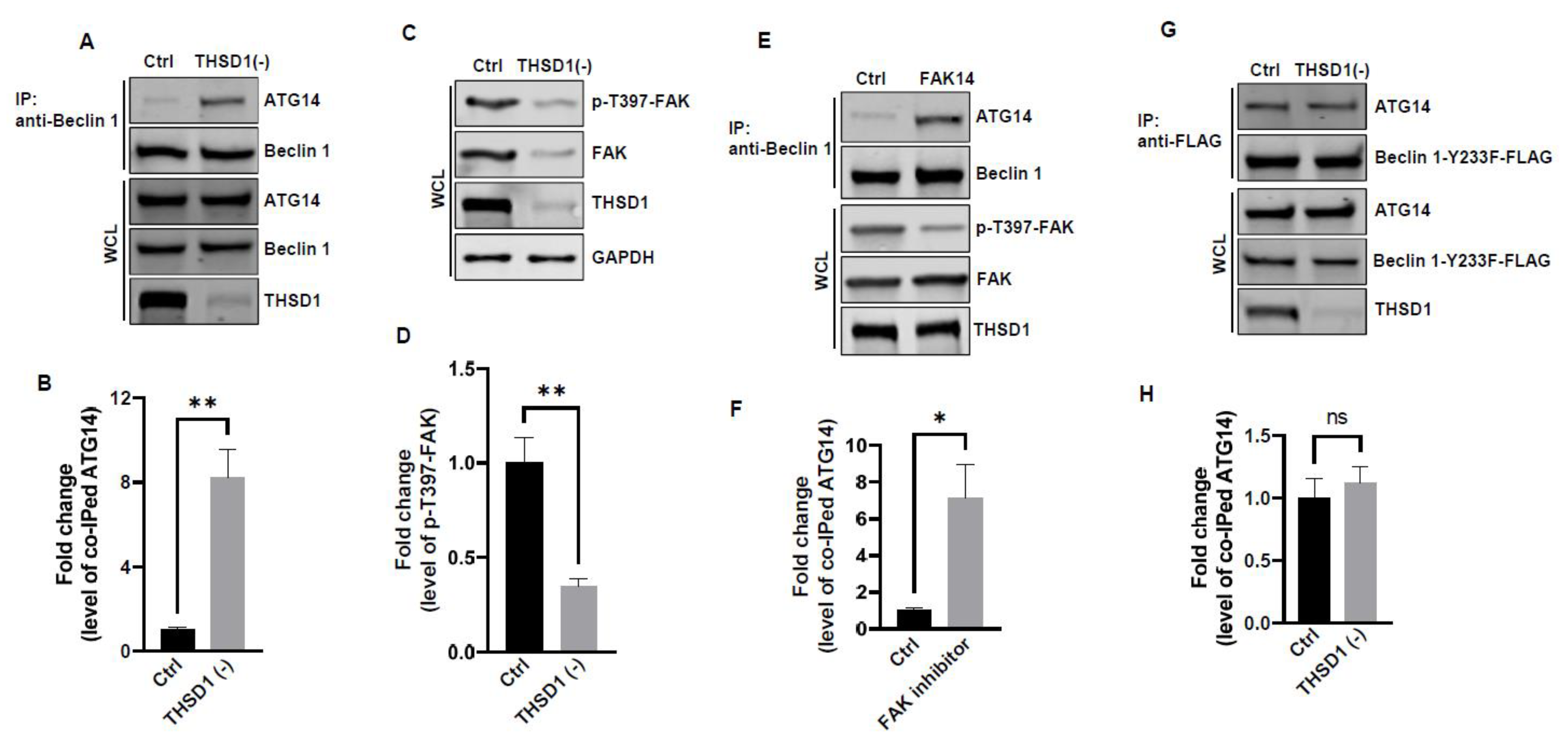 Preprints 92787 g005