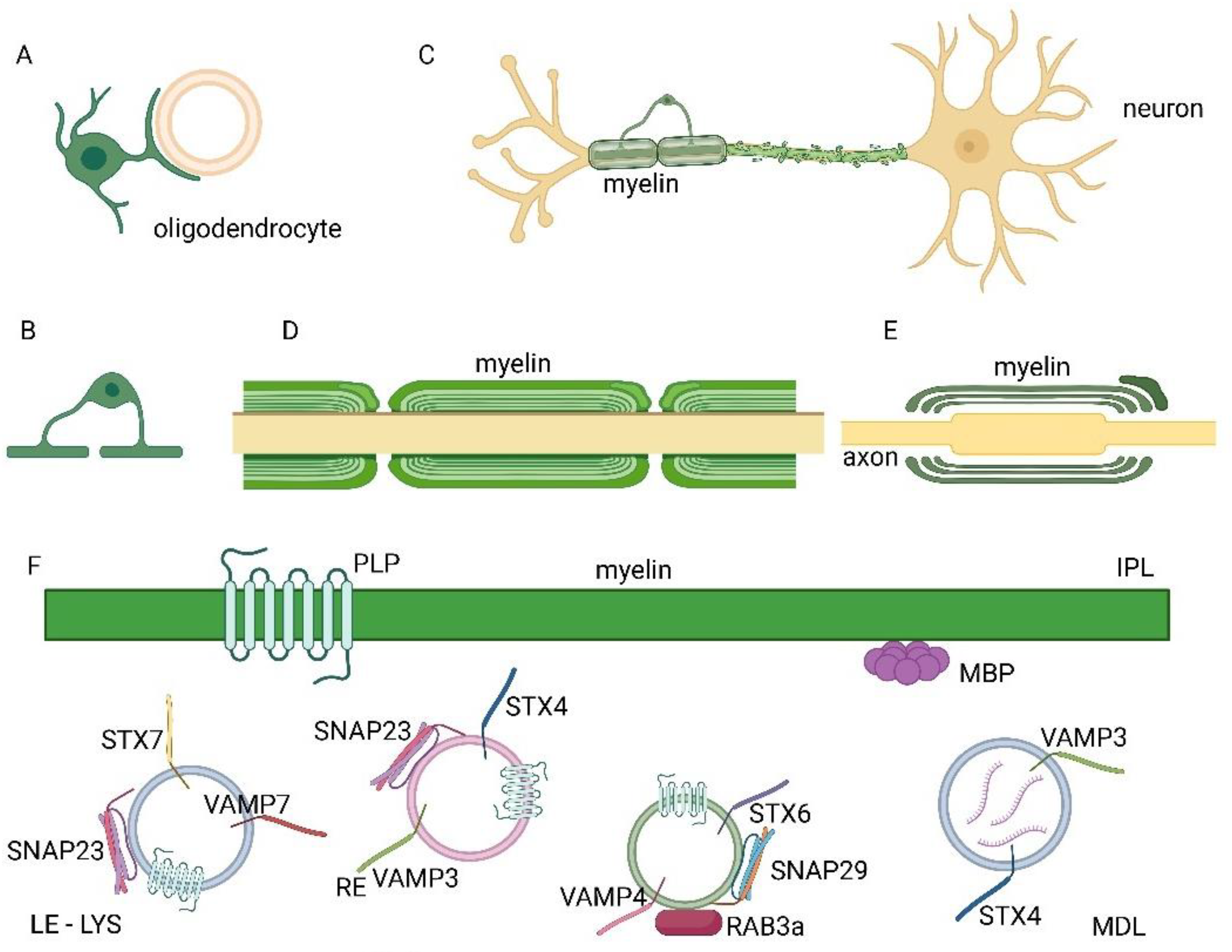 Preprints 72815 g001