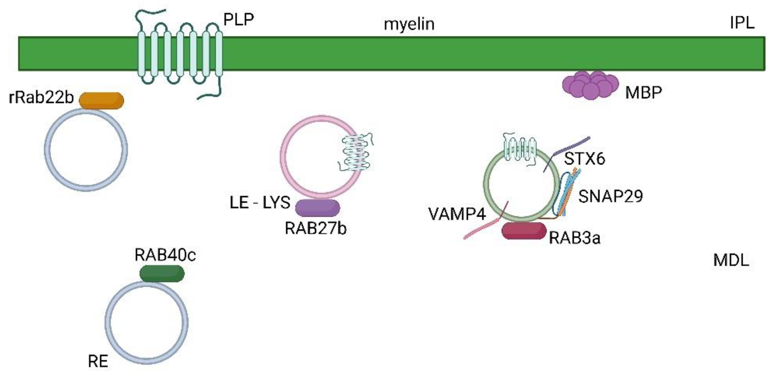 Preprints 72815 g002