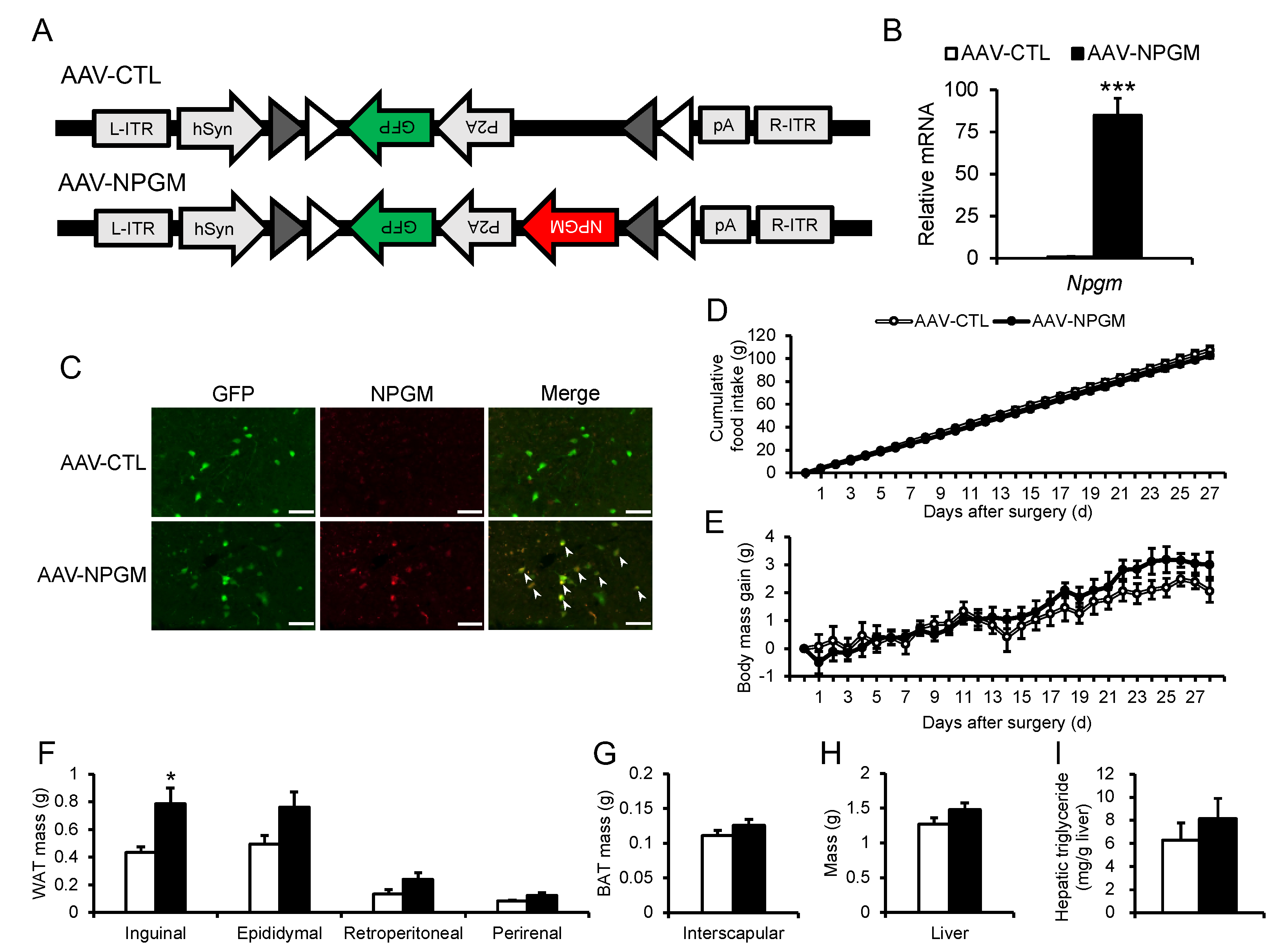 Preprints 89422 g002