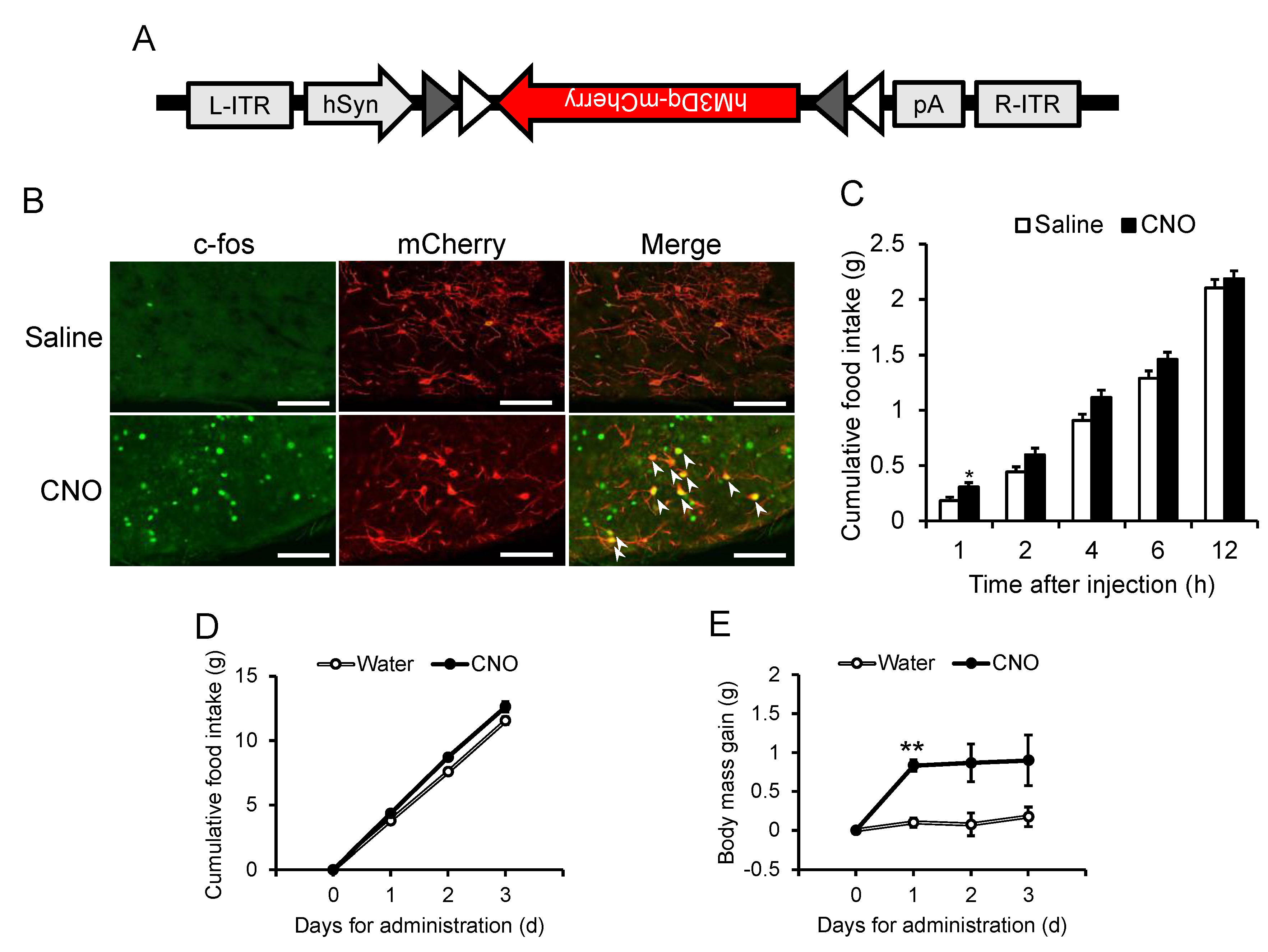 Preprints 89422 g004