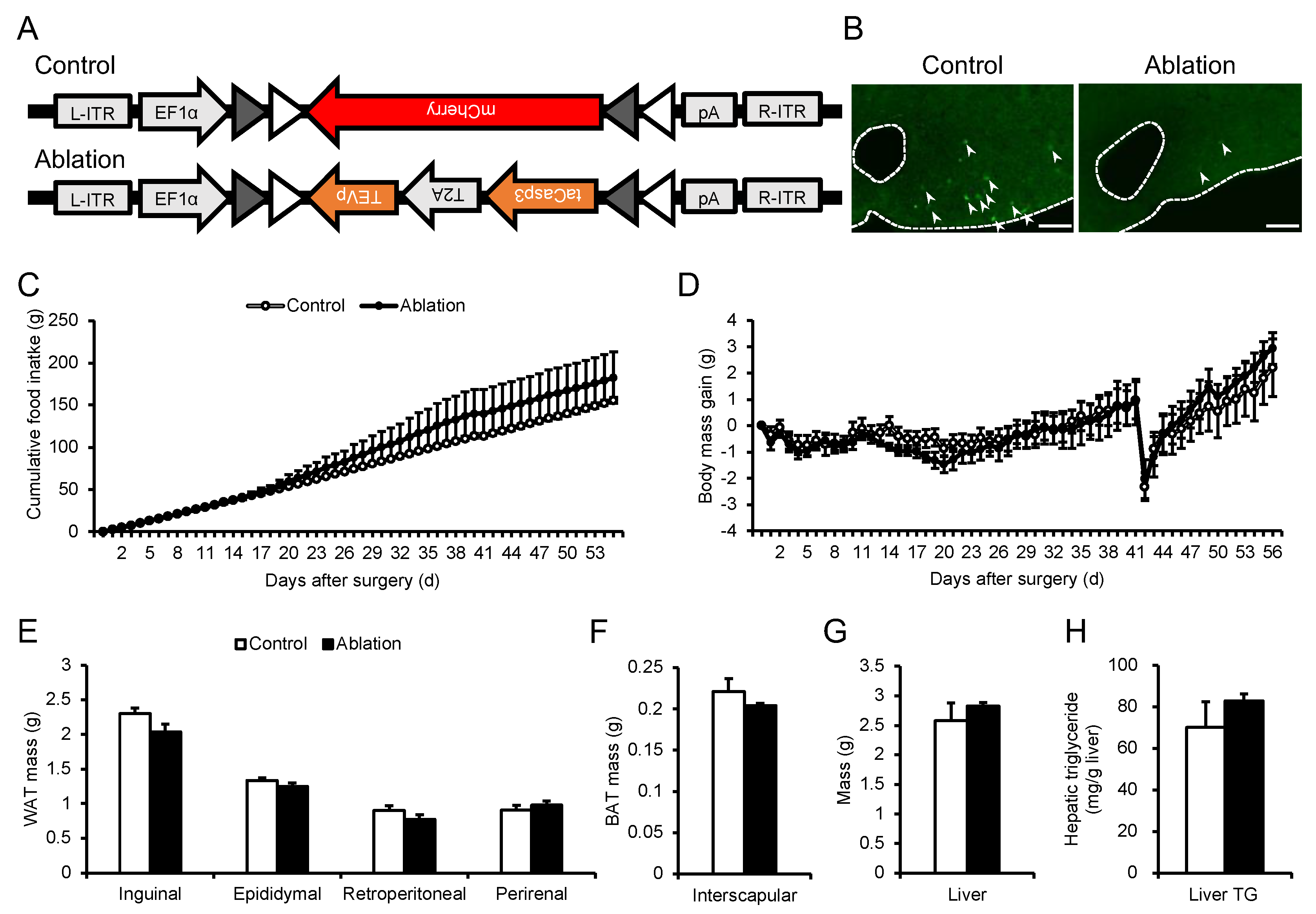 Preprints 89422 g005