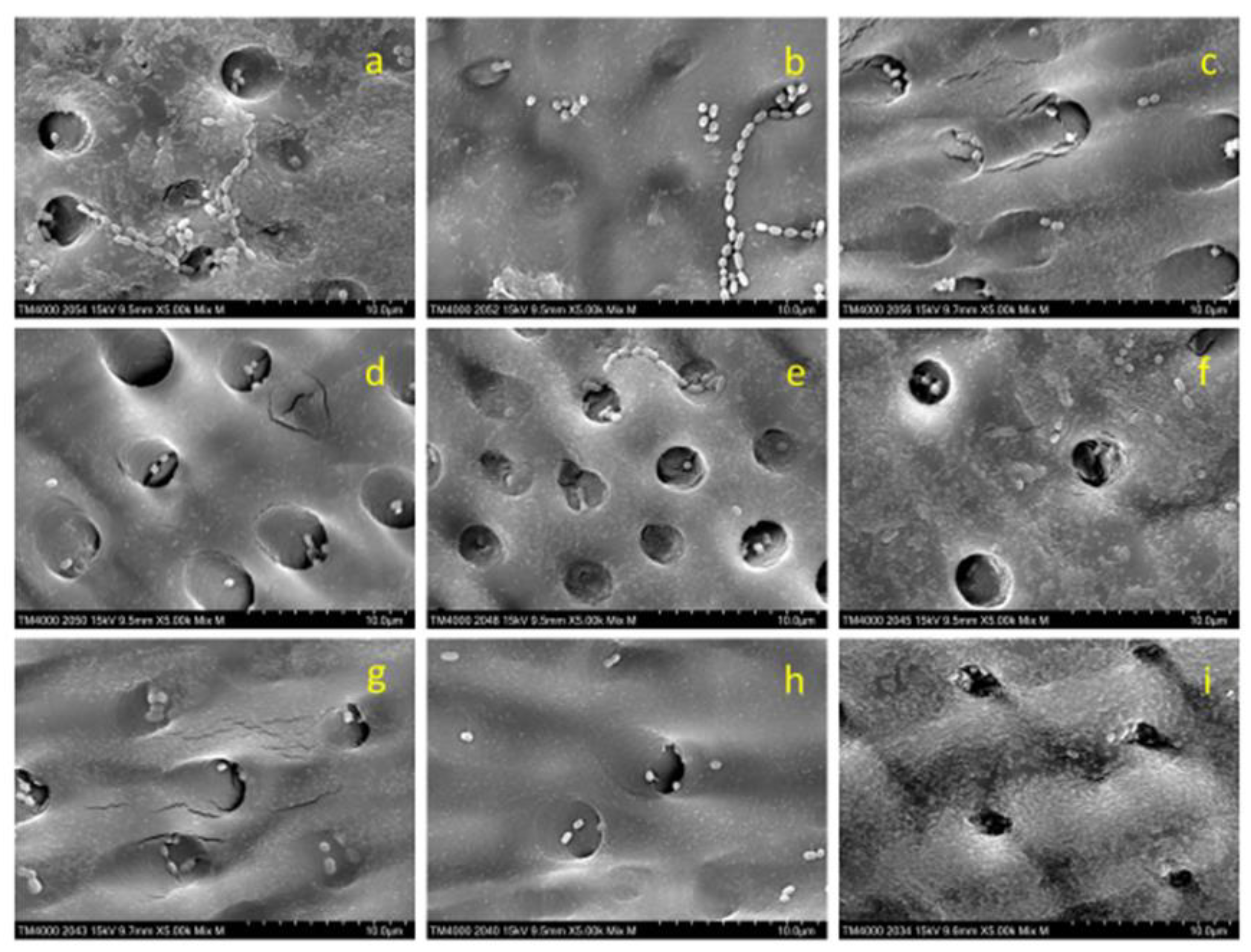 Preprints 88609 g006