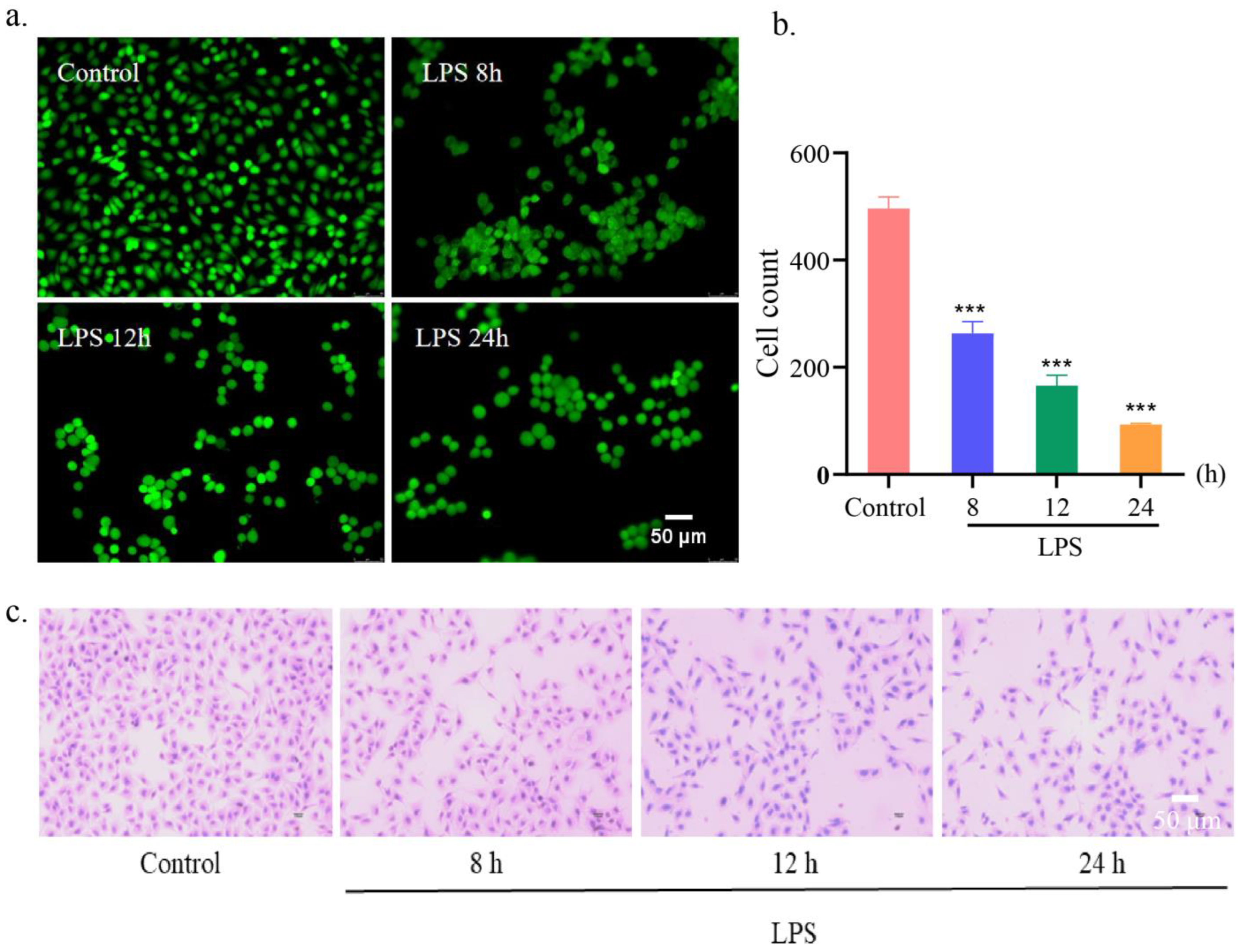 Preprints 73709 g004