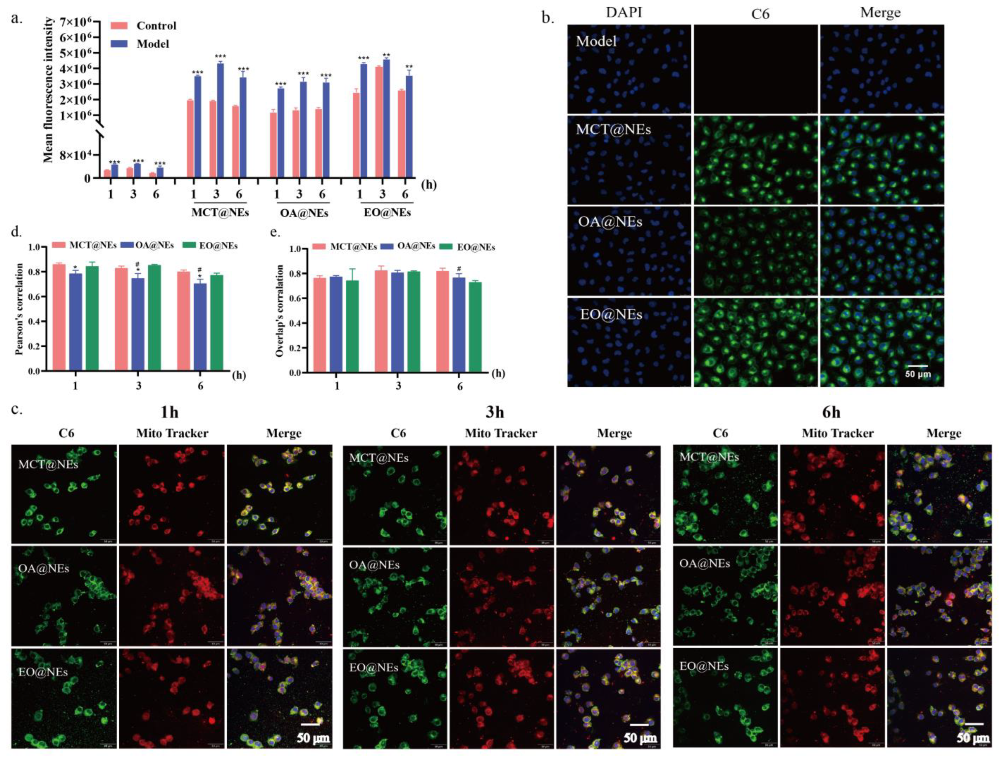 Preprints 73709 g005