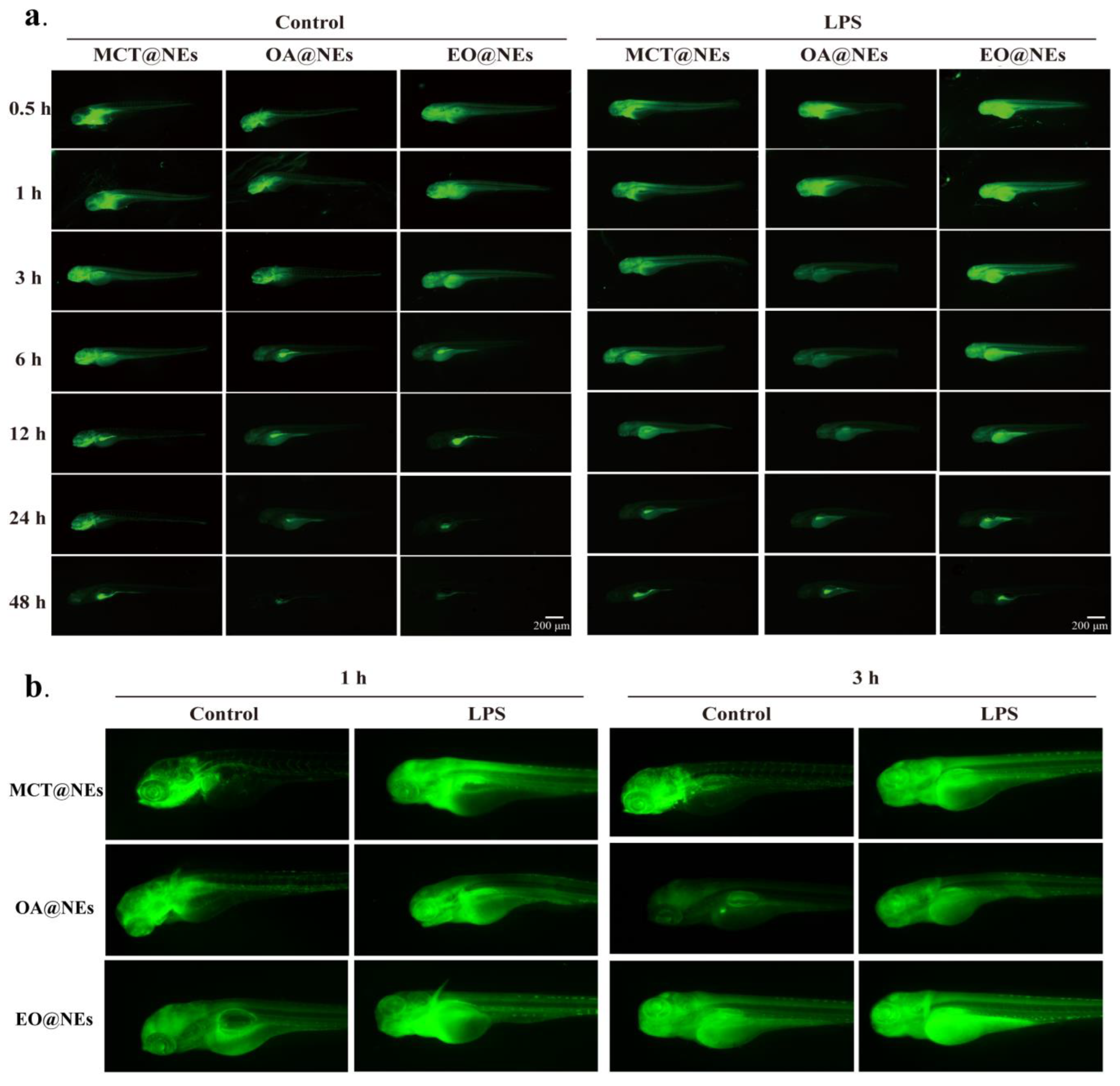 Preprints 73709 g007