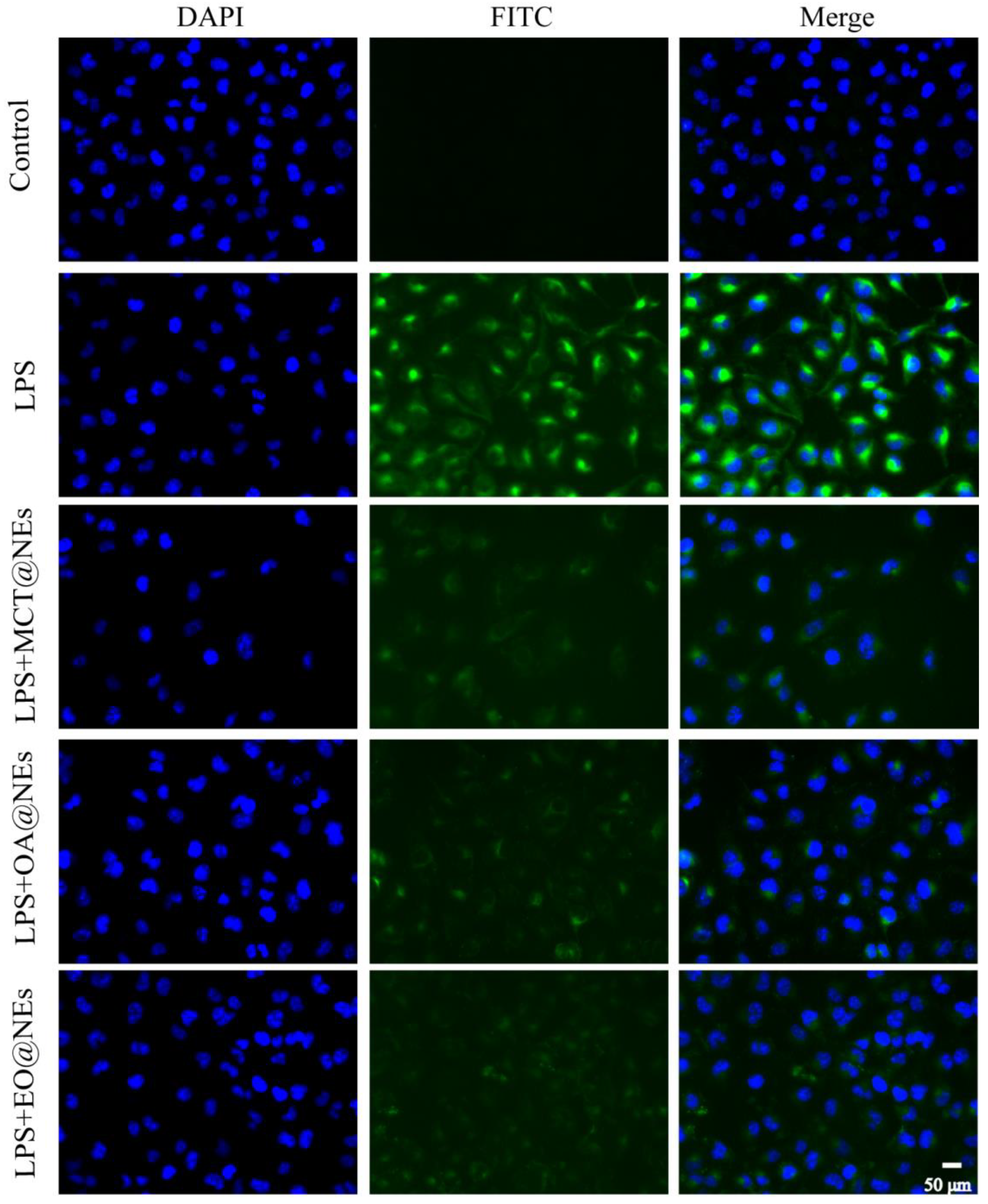 Preprints 73709 g008