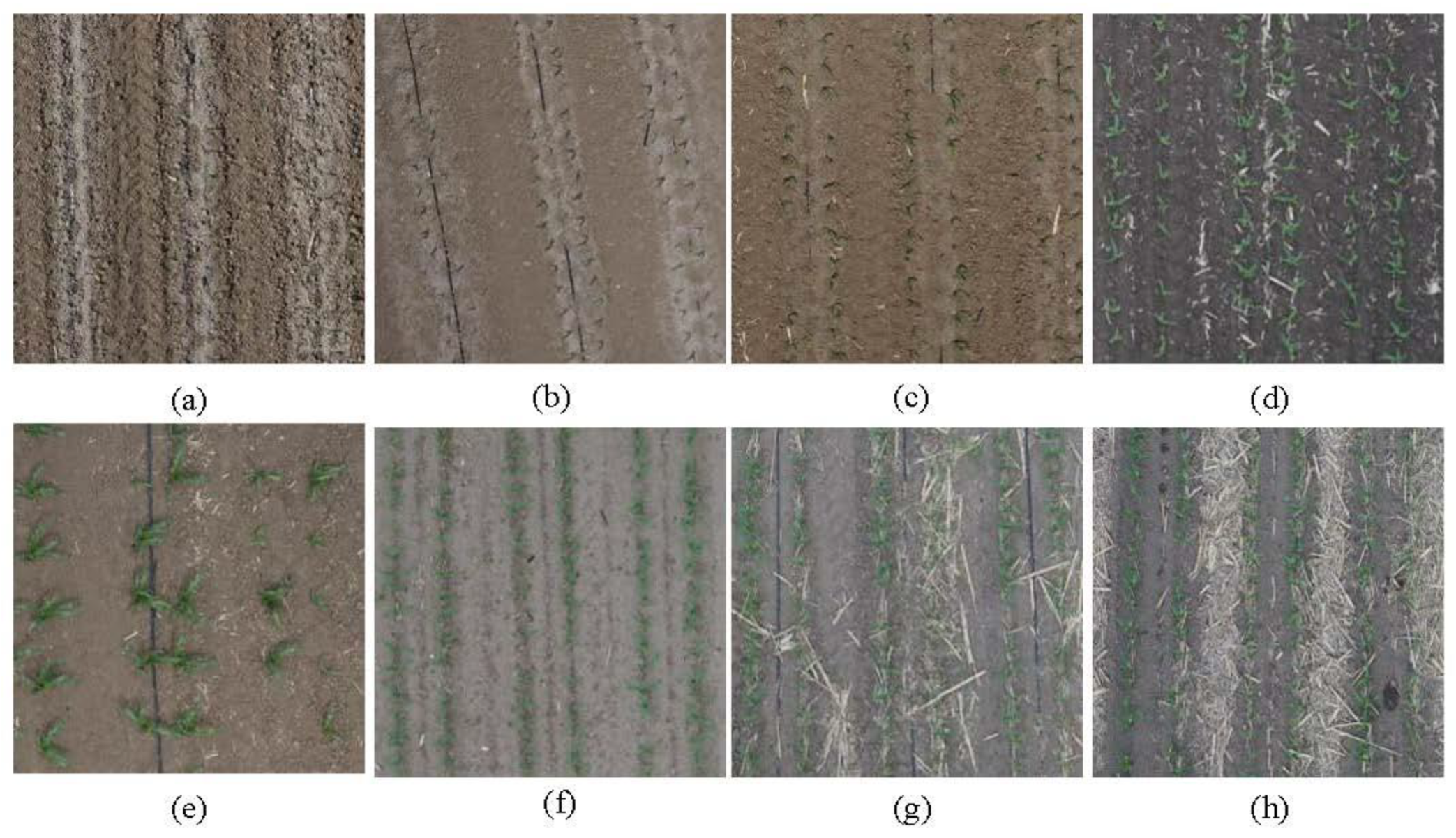 Preprints 100996 g003