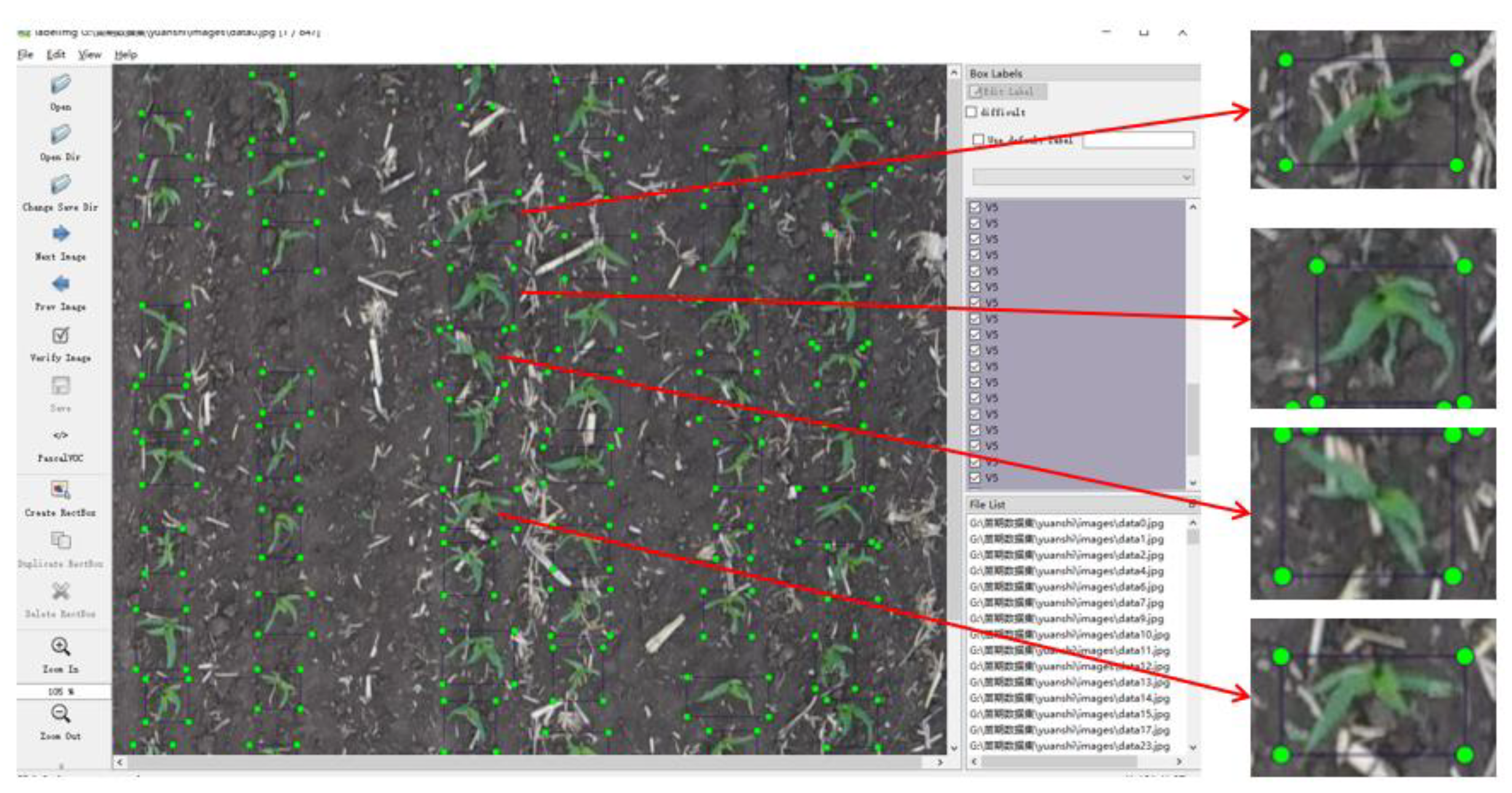 Preprints 100996 g004