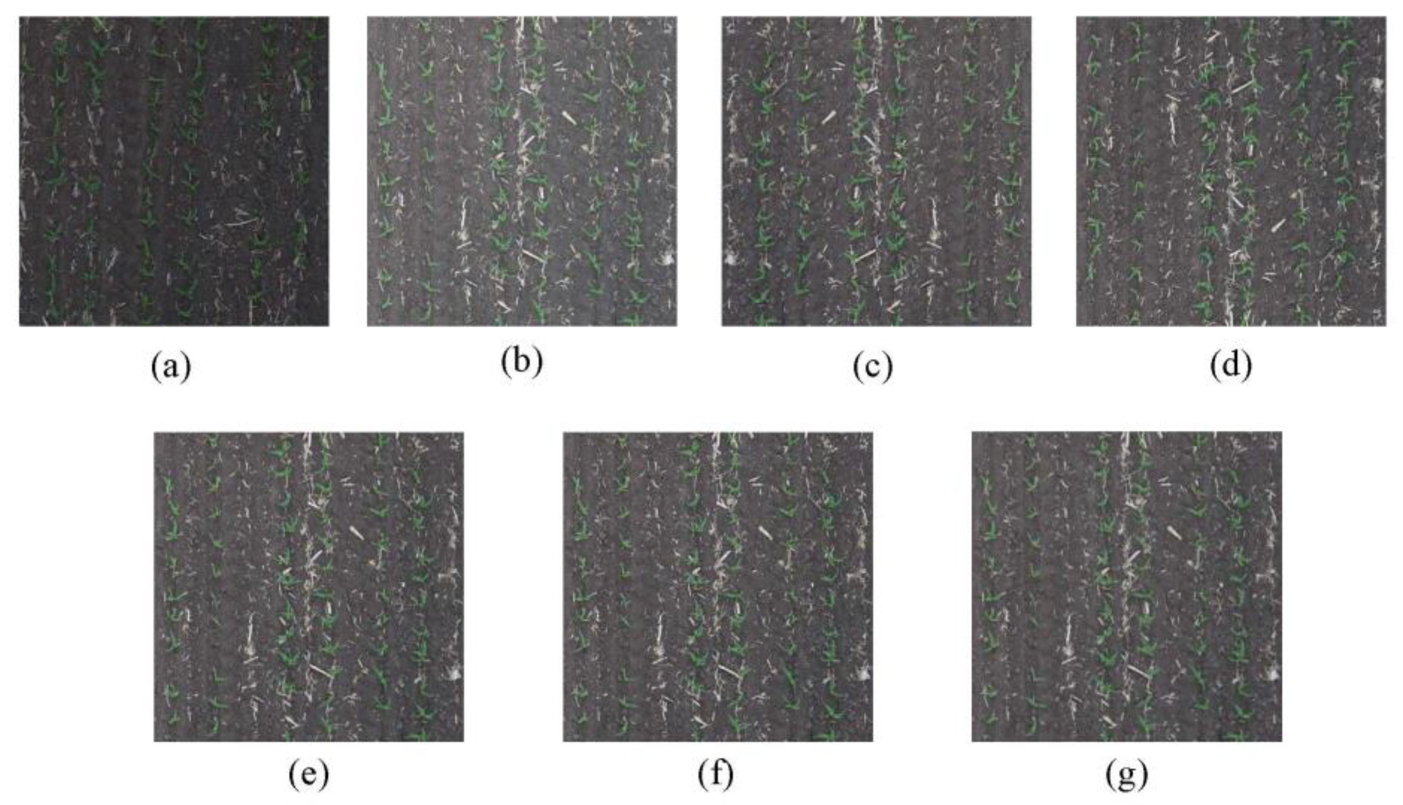 Preprints 100996 g005