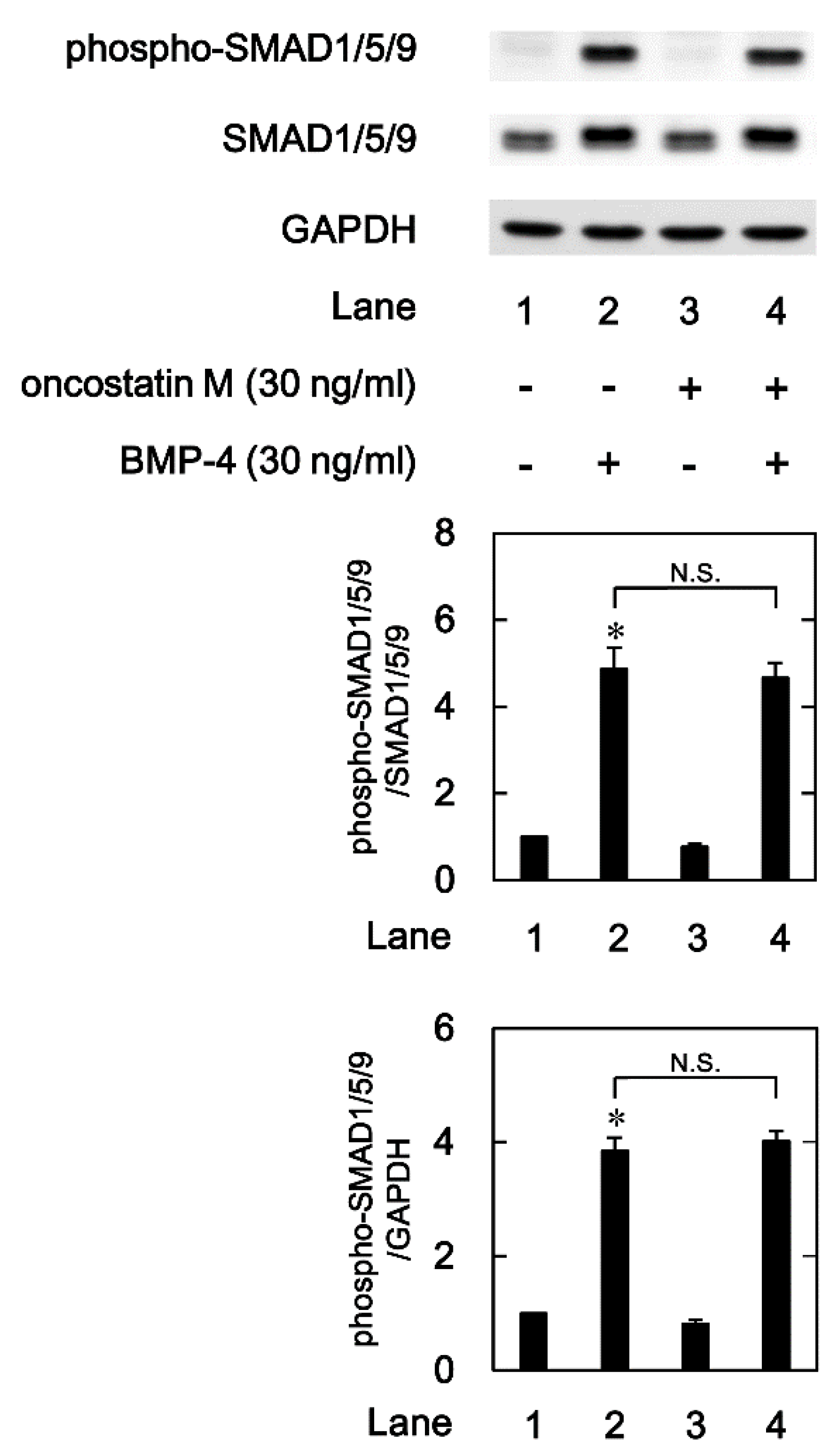 Preprints 95060 g004