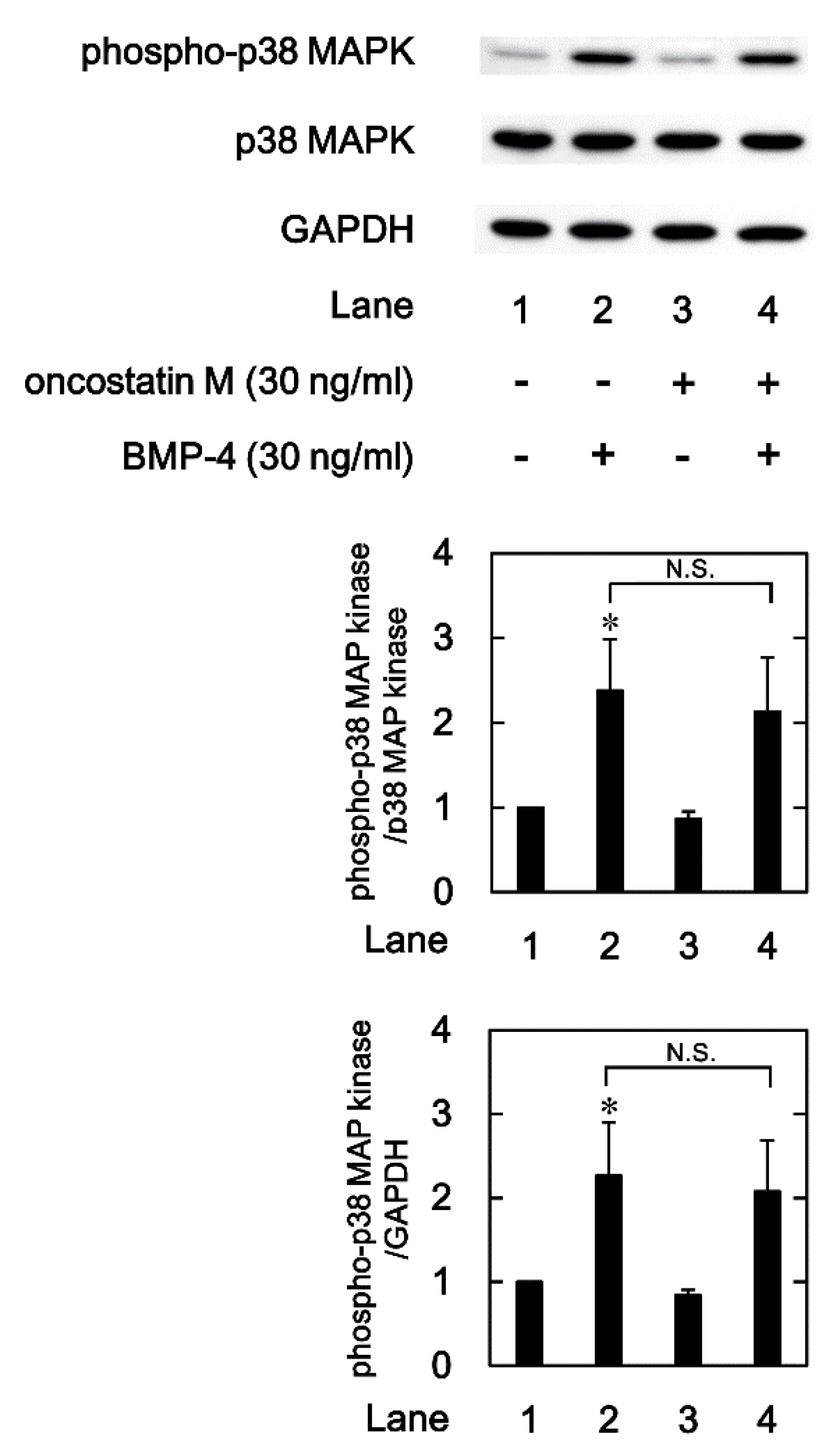 Preprints 95060 g005