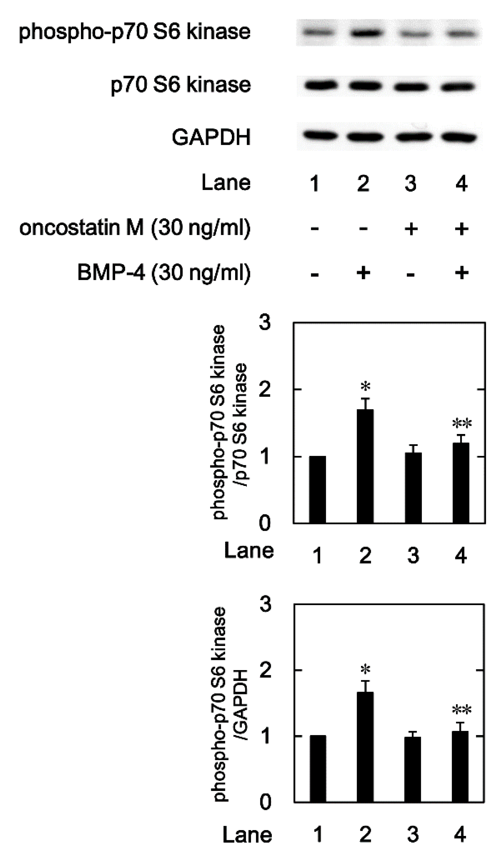 Preprints 95060 g006