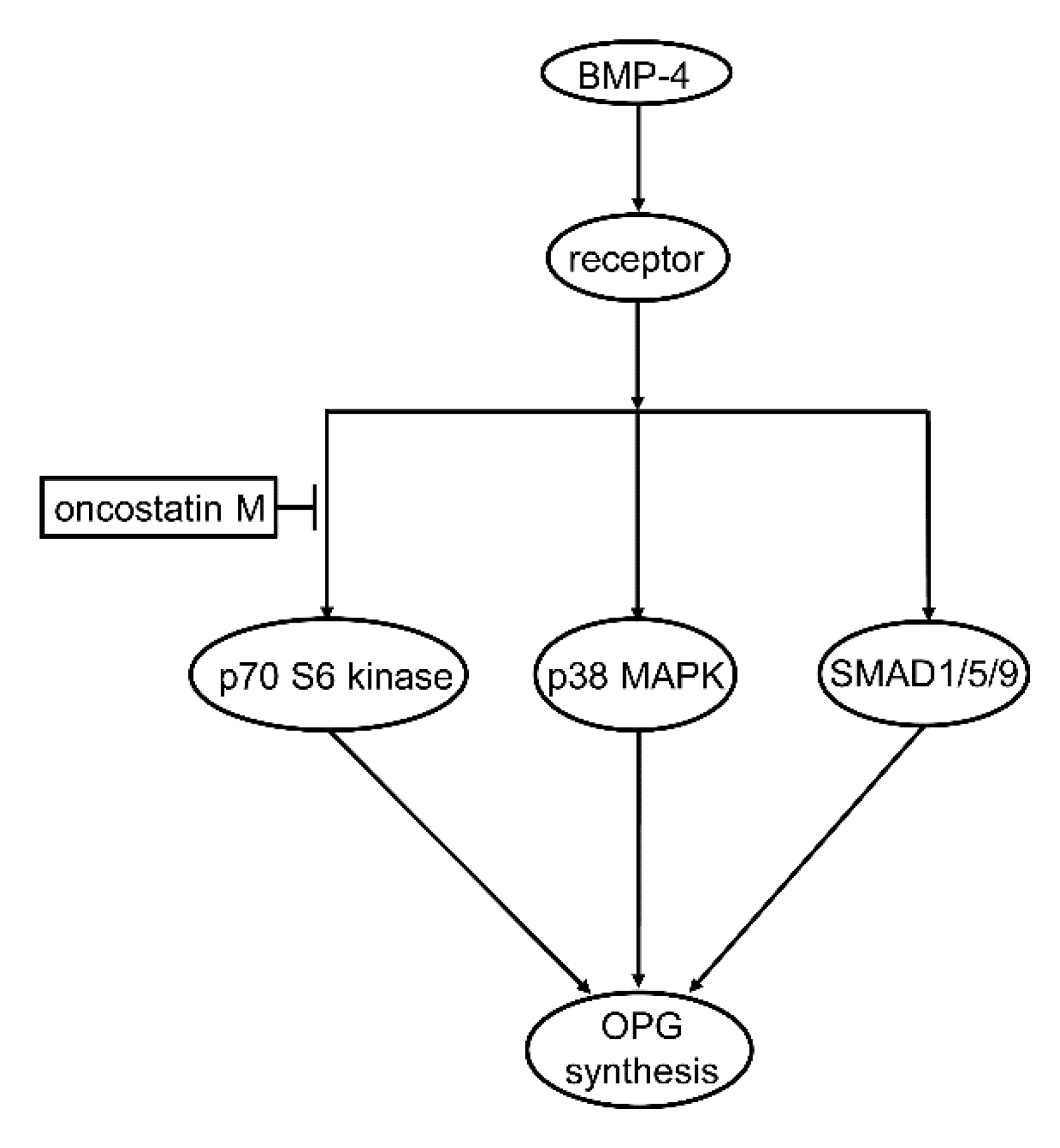 Preprints 95060 g007